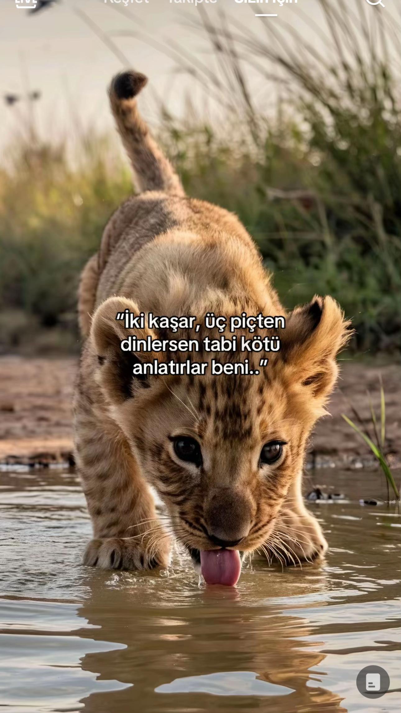 @Rıdvan kaya