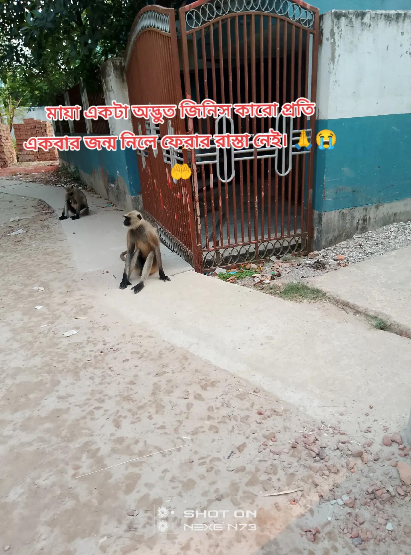 @Tania