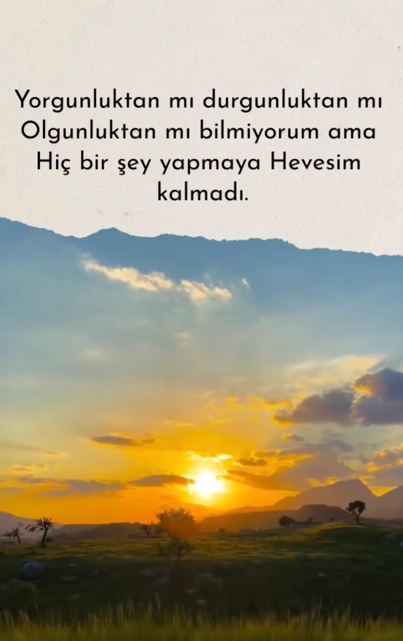 @Emir Asaf