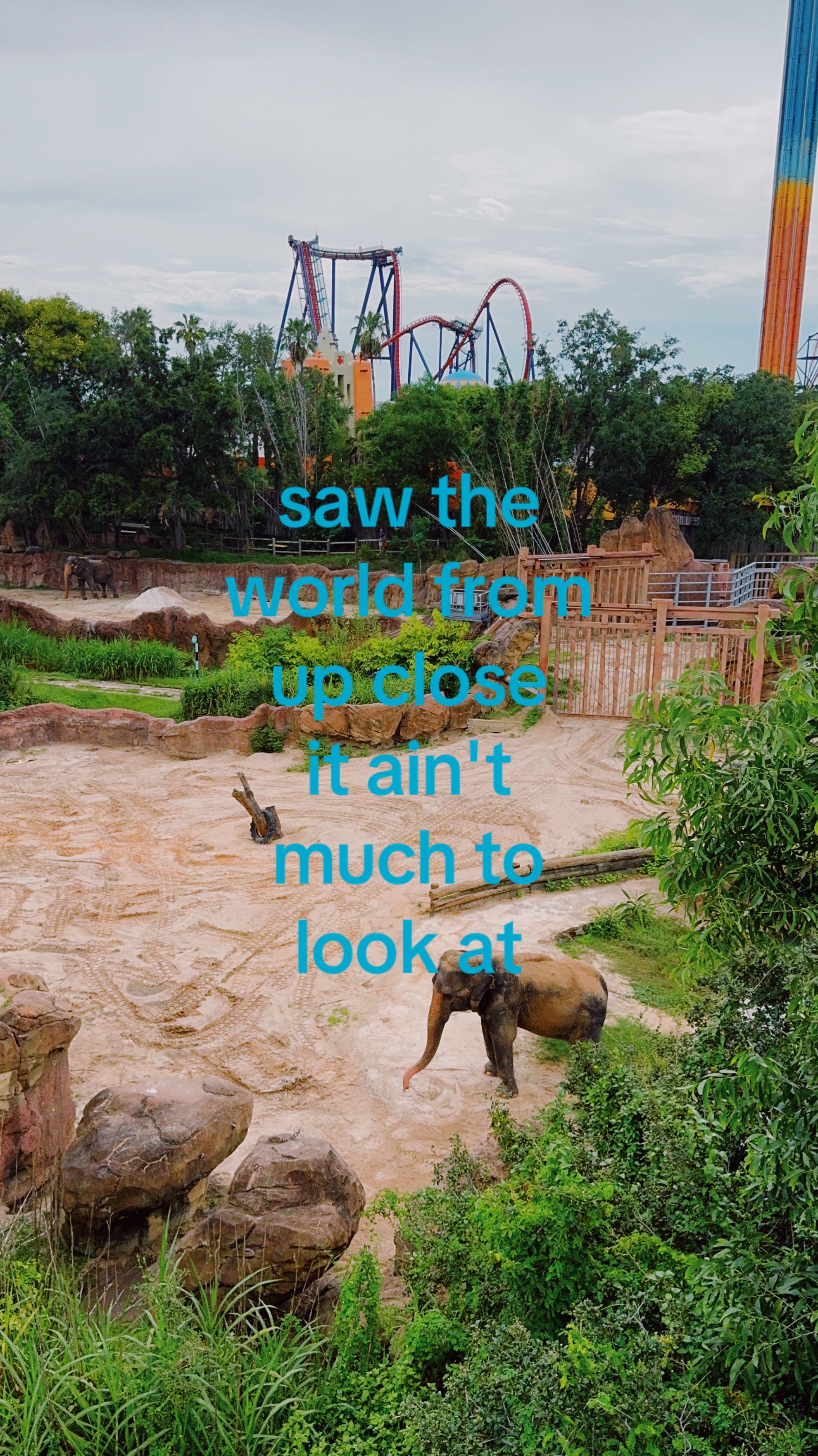 @madi :)