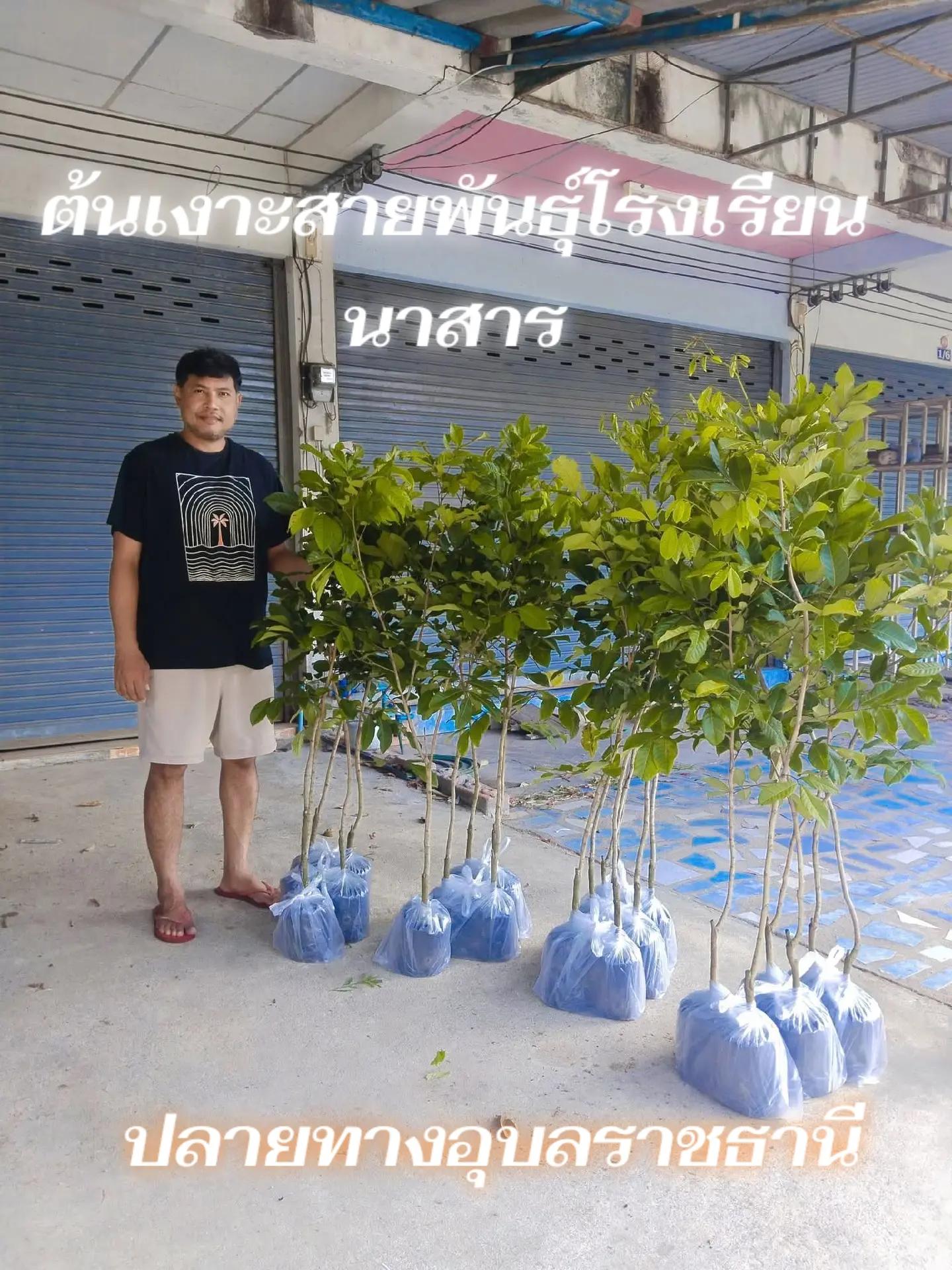 @นาย จังโก้