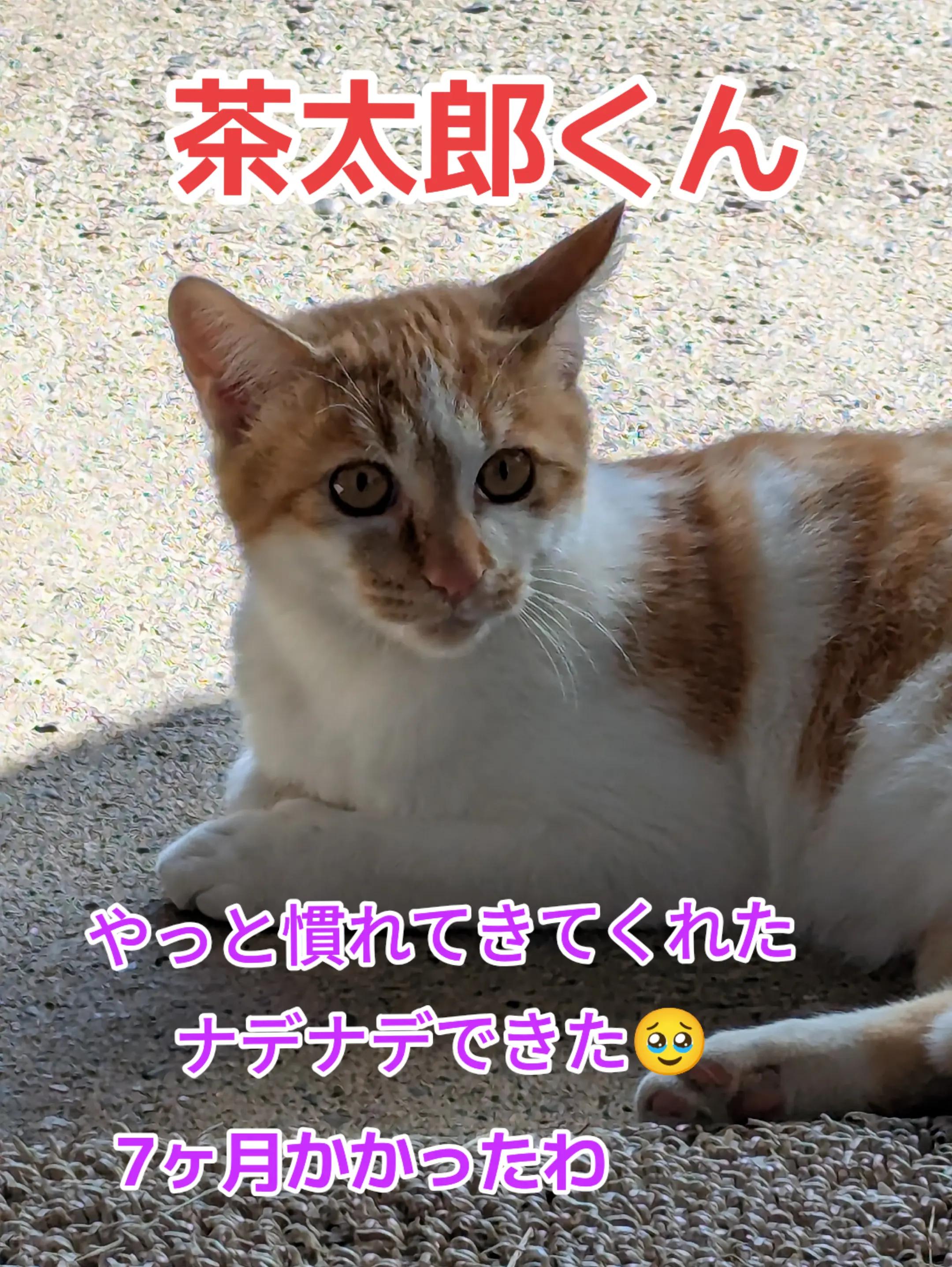 @๐ใฟใใกใใใใง๐