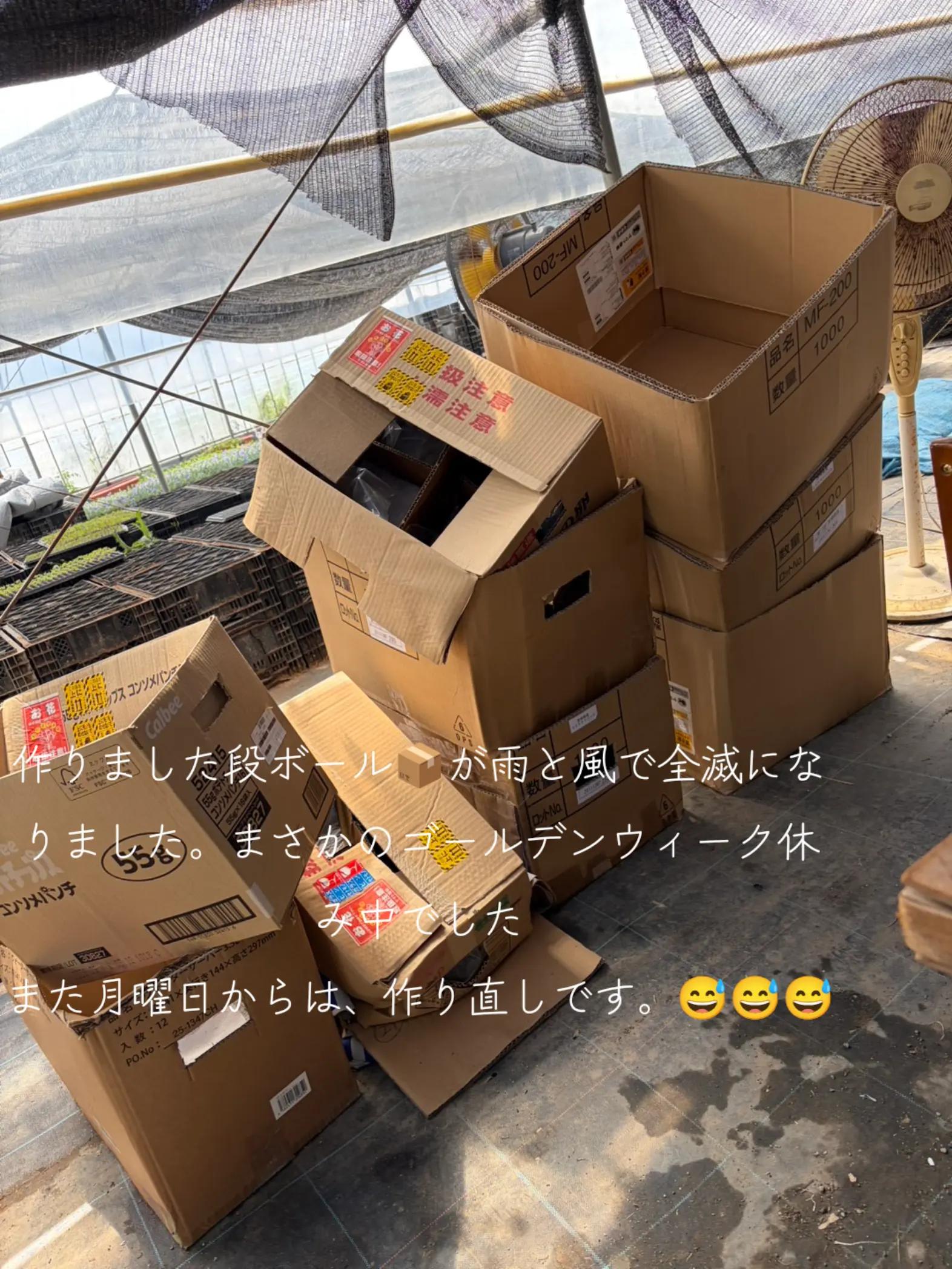 @Mako-chan [花ハウス‐まこもネットワーク]