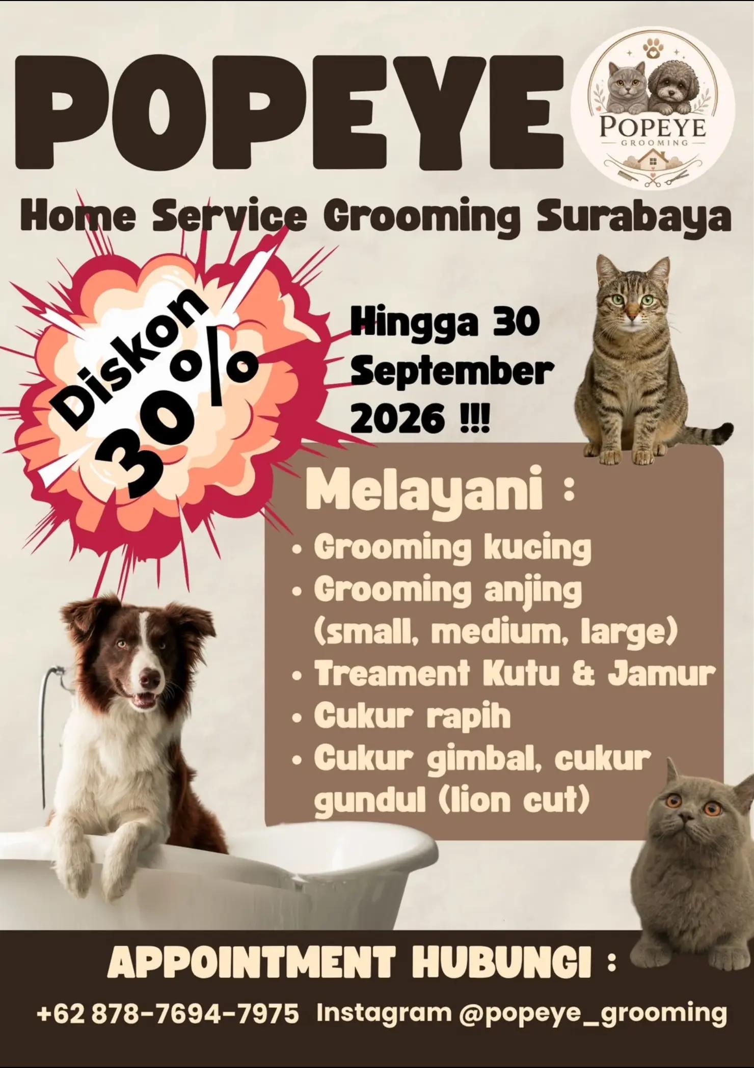 @Vdb petshop