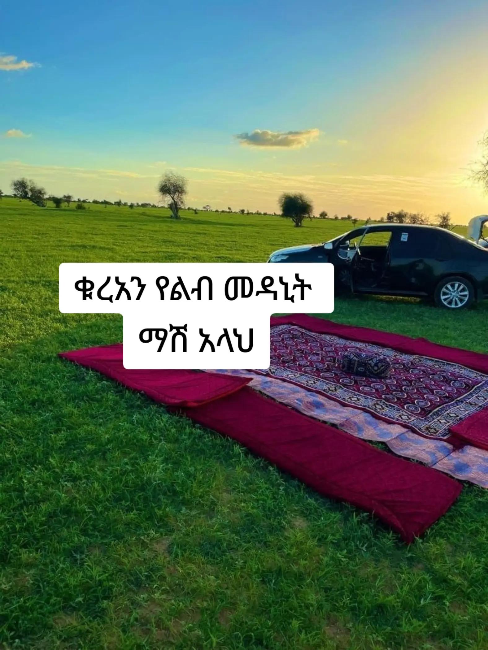 @ኢተቂሏህ ነብሴ 1الله كريم🕊🤍Ⓜ