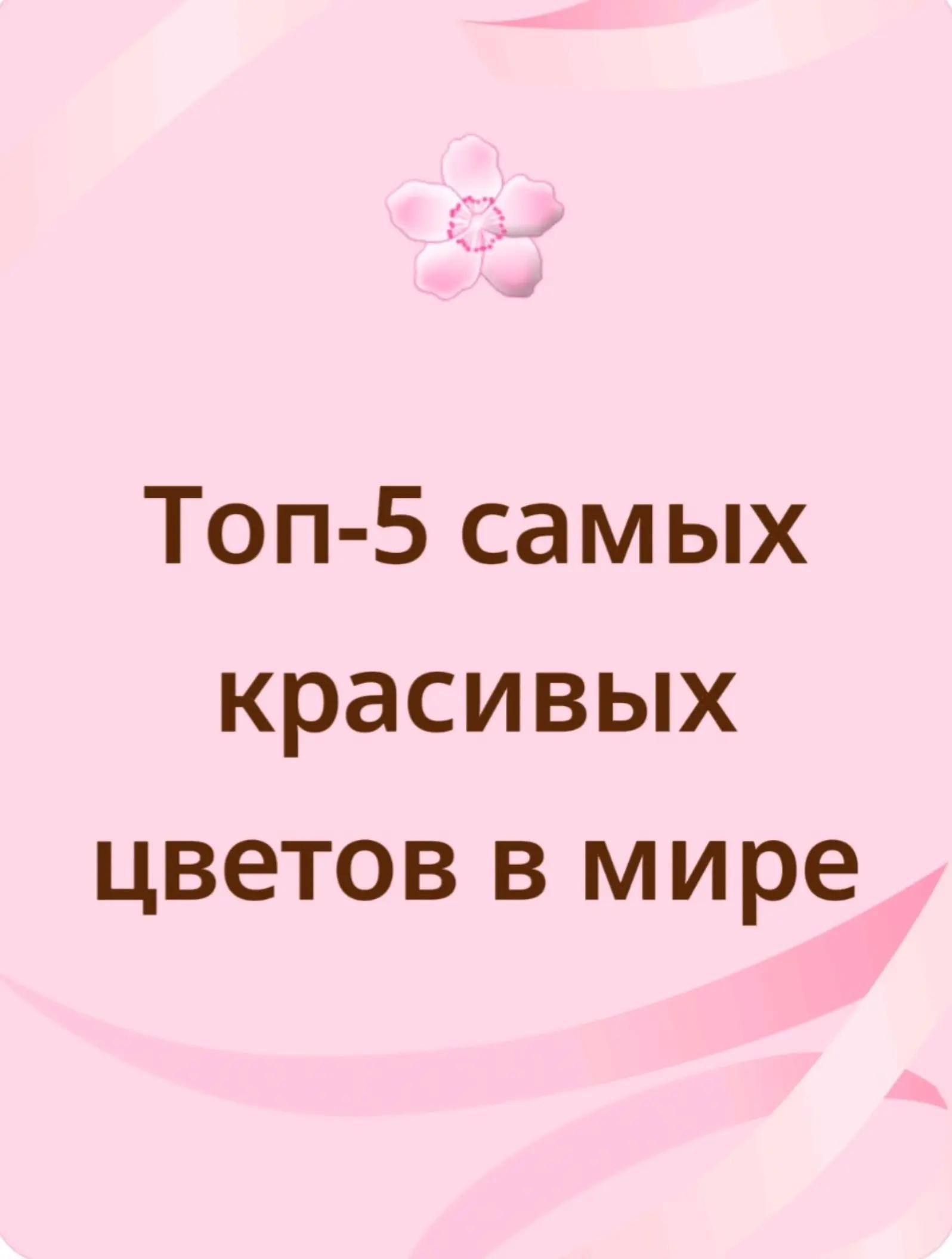 @Эмилька🍰🌸