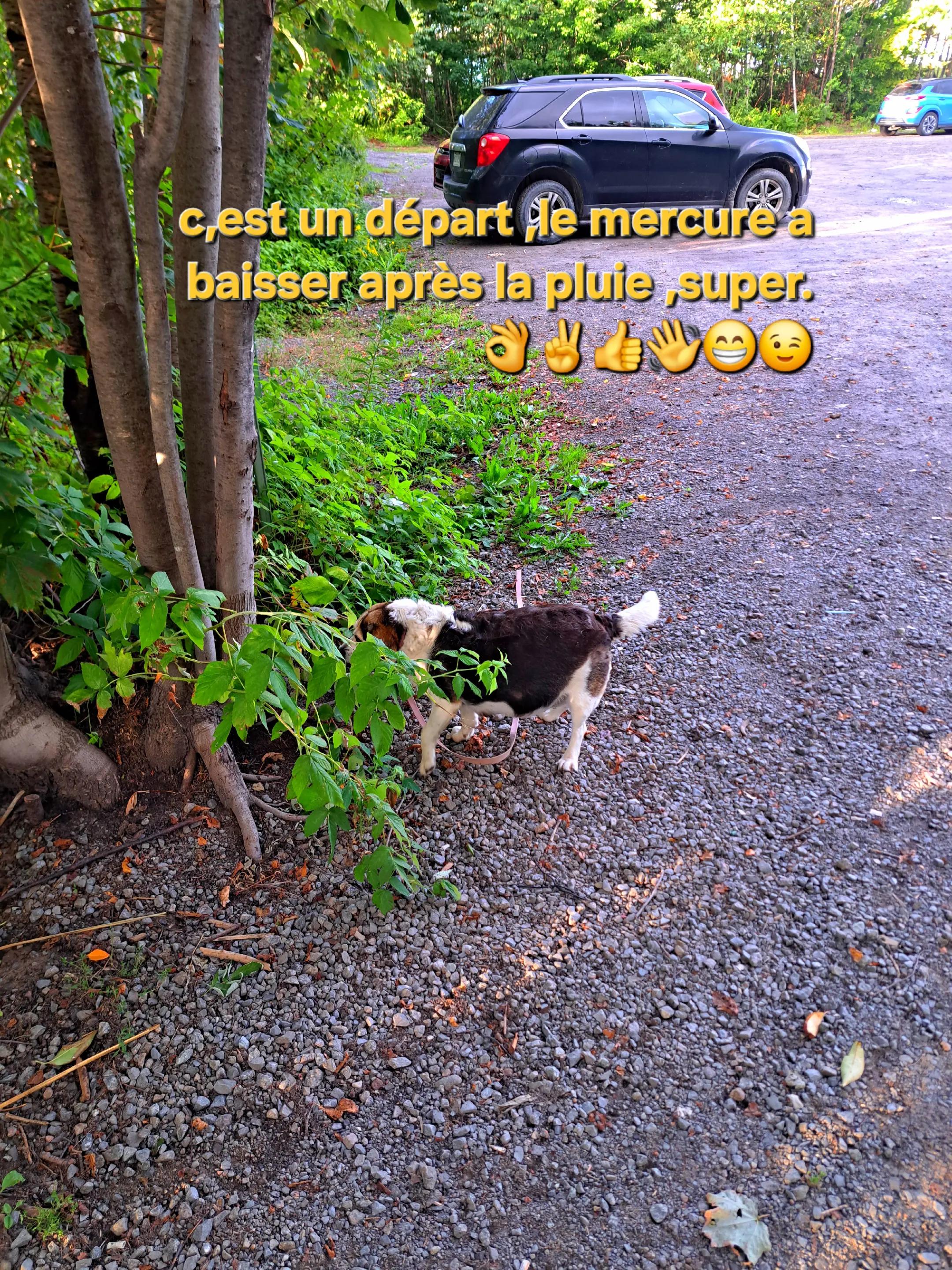 @regis Pinault