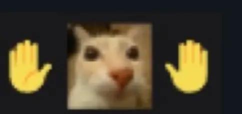 @๐ฏ๐๐