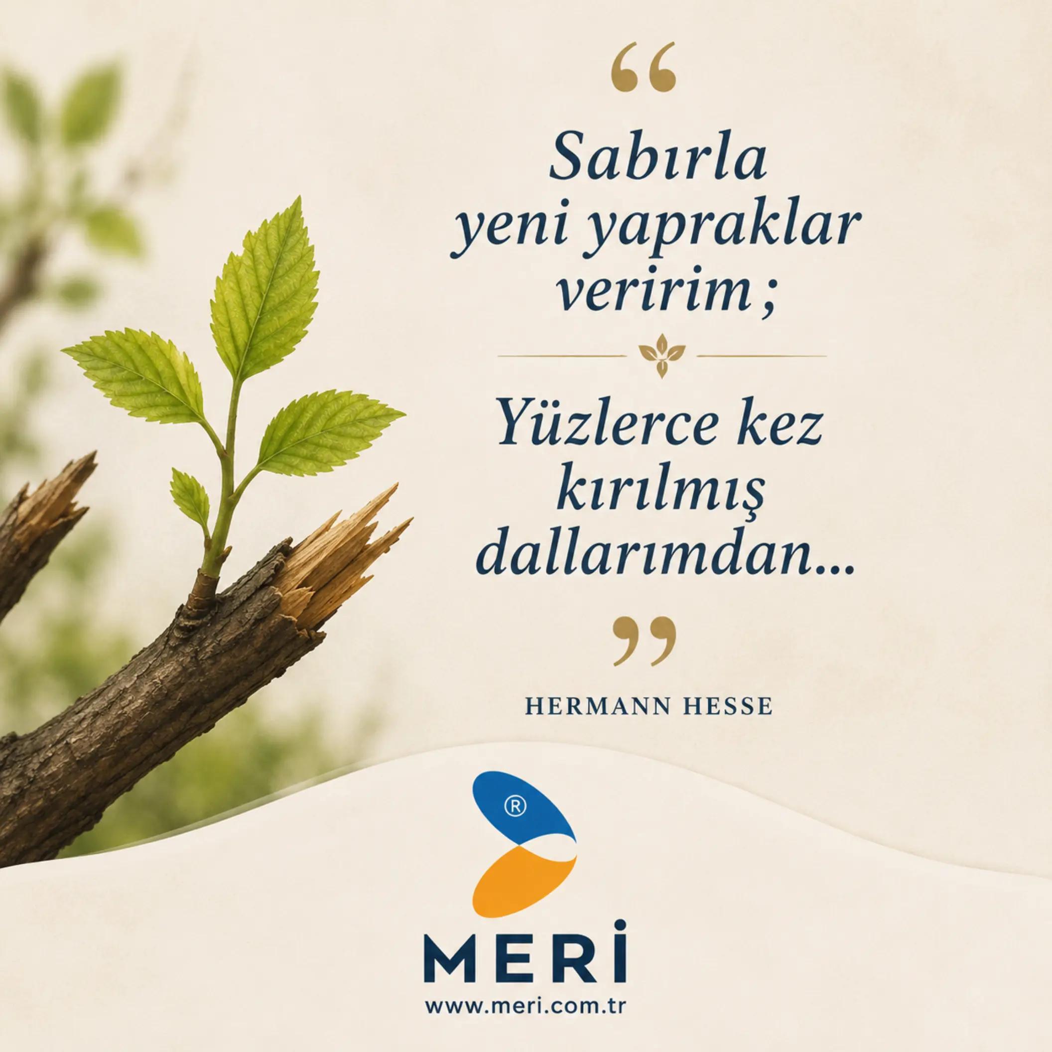 @Meri Sineklik İsmail Kurt