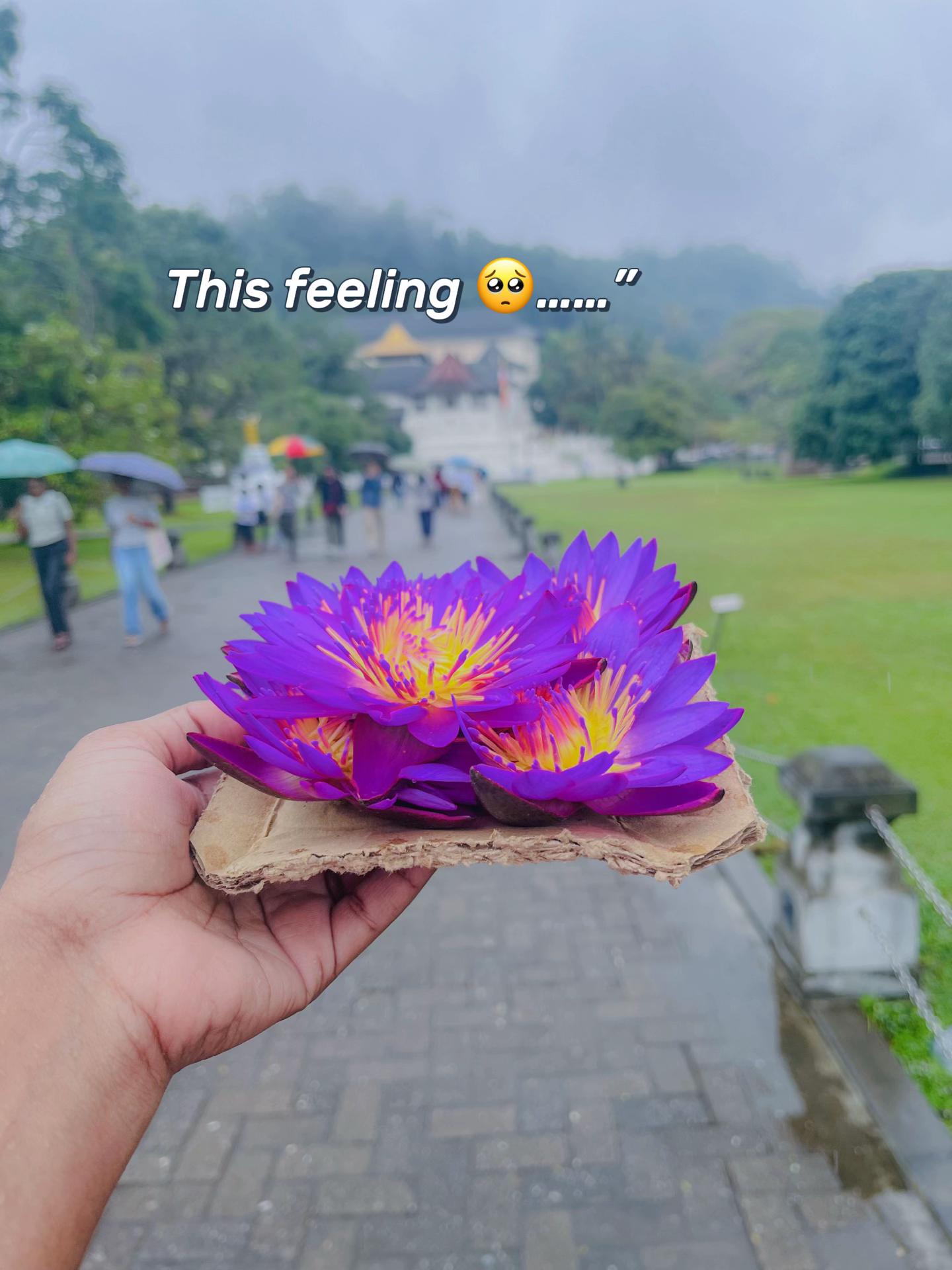 @𝓐 | 𝓒𝓱𝓲