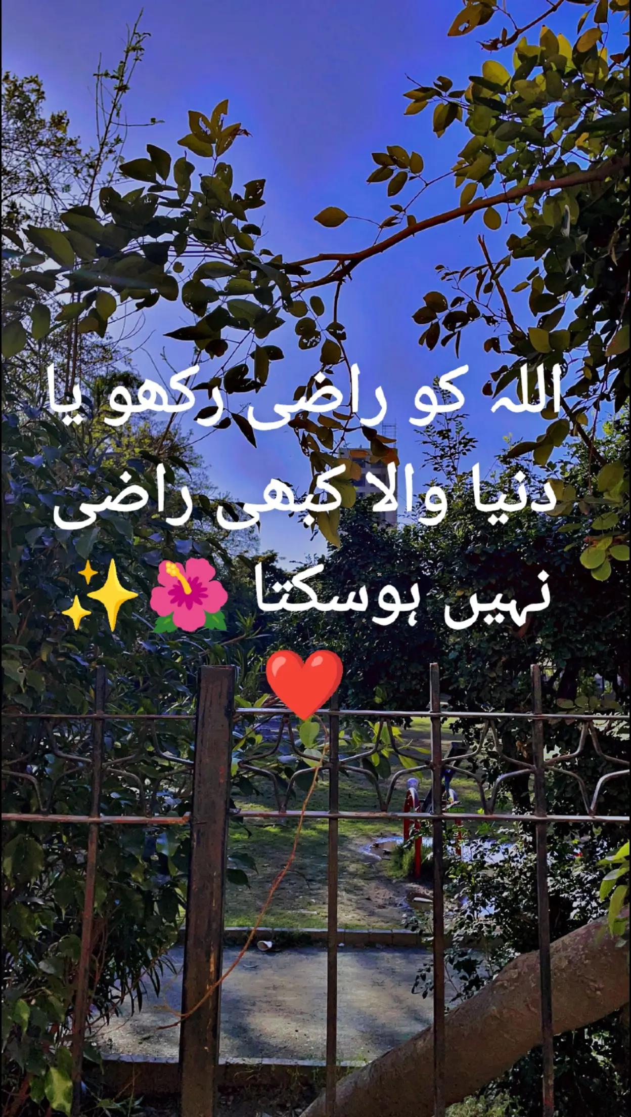 @Syed hamza