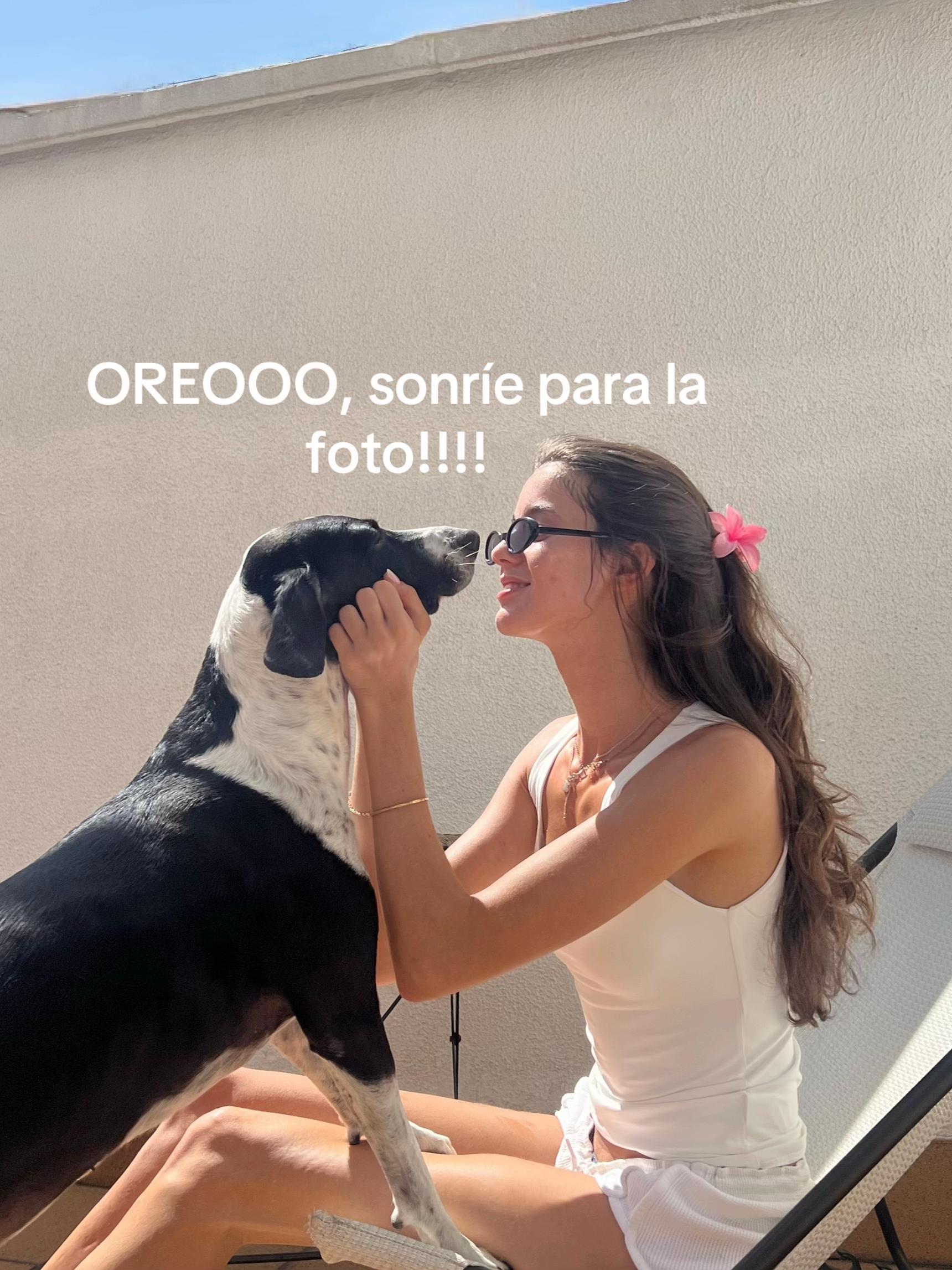 @Noa