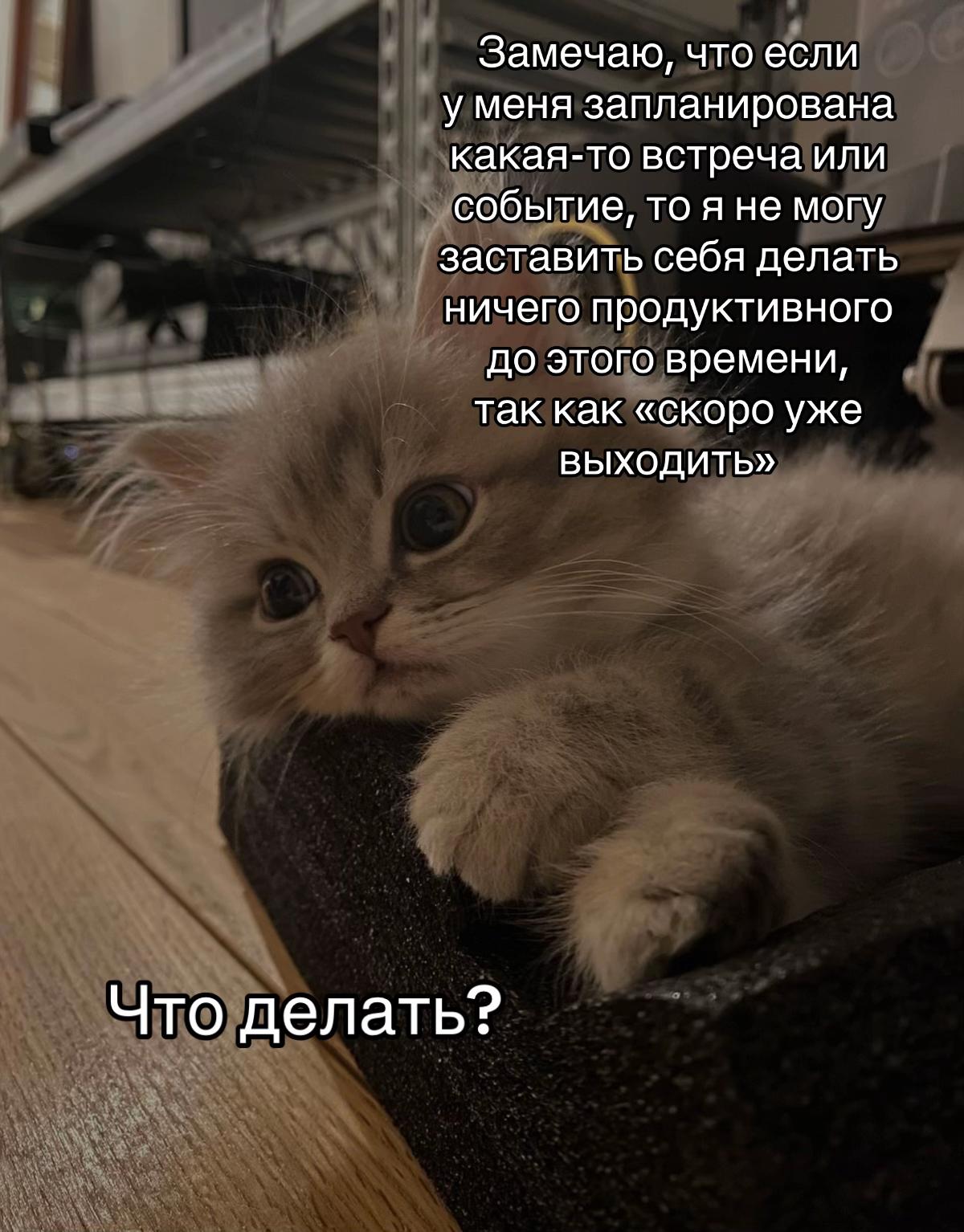 @тгк: психология с марго