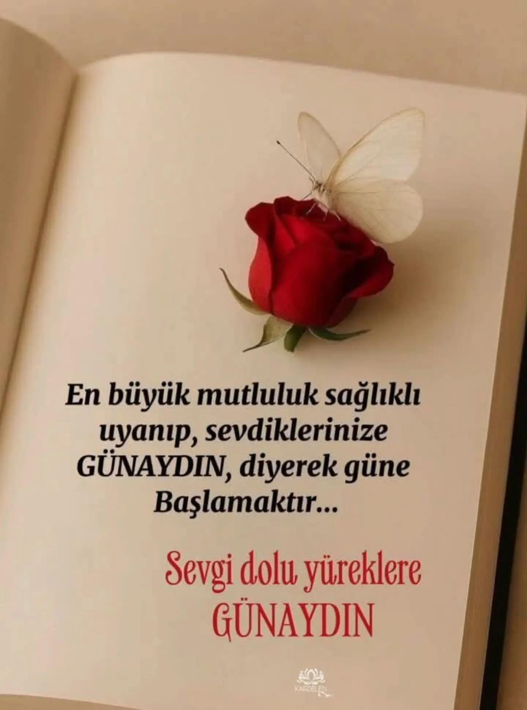 @💙LEYLA❤️ SULTAN 💙