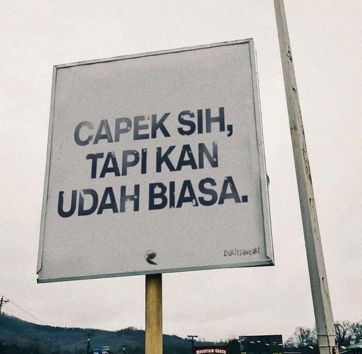 @tawfikcaell_