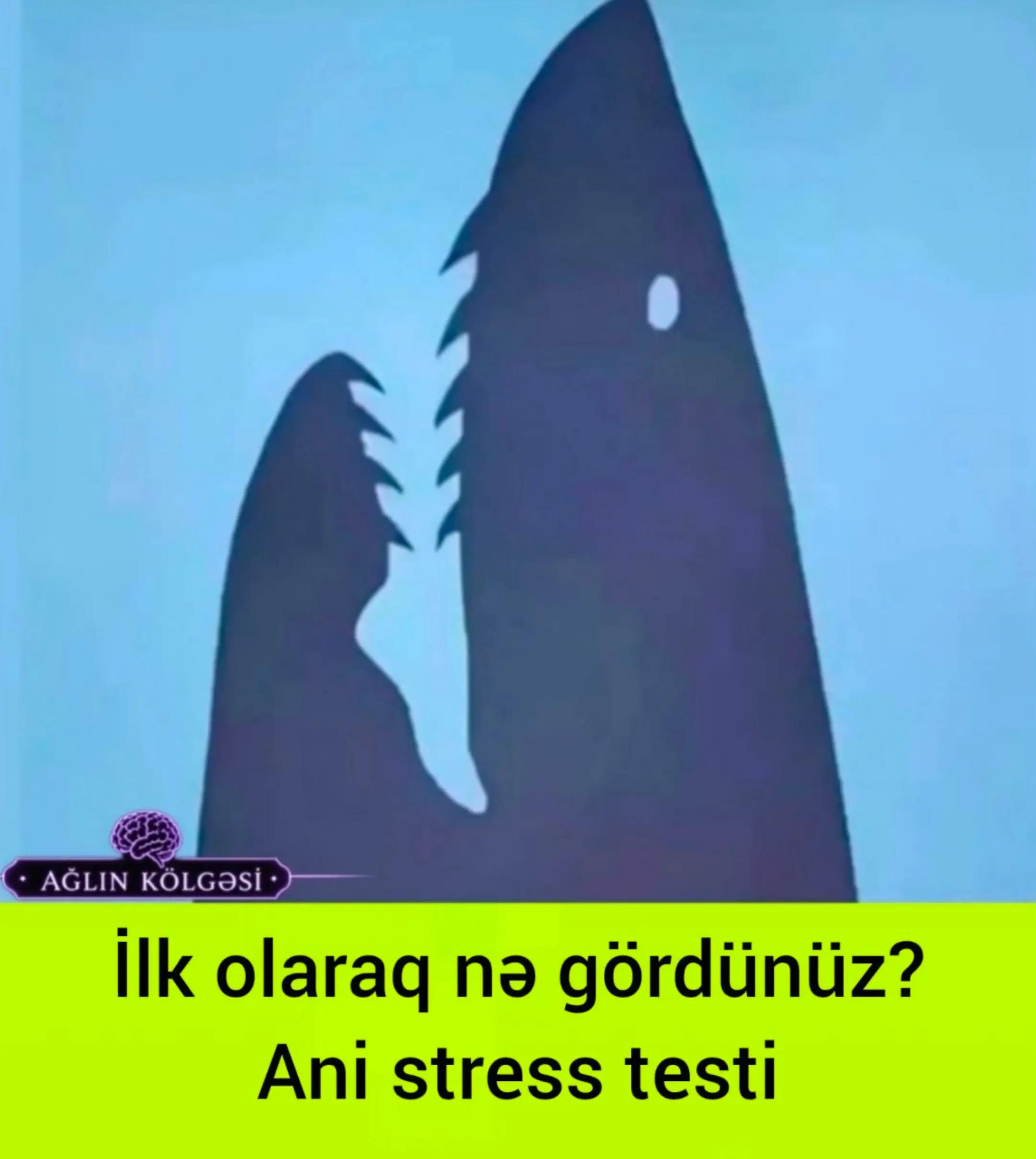 @Ağlın K&ouml;lgəsi