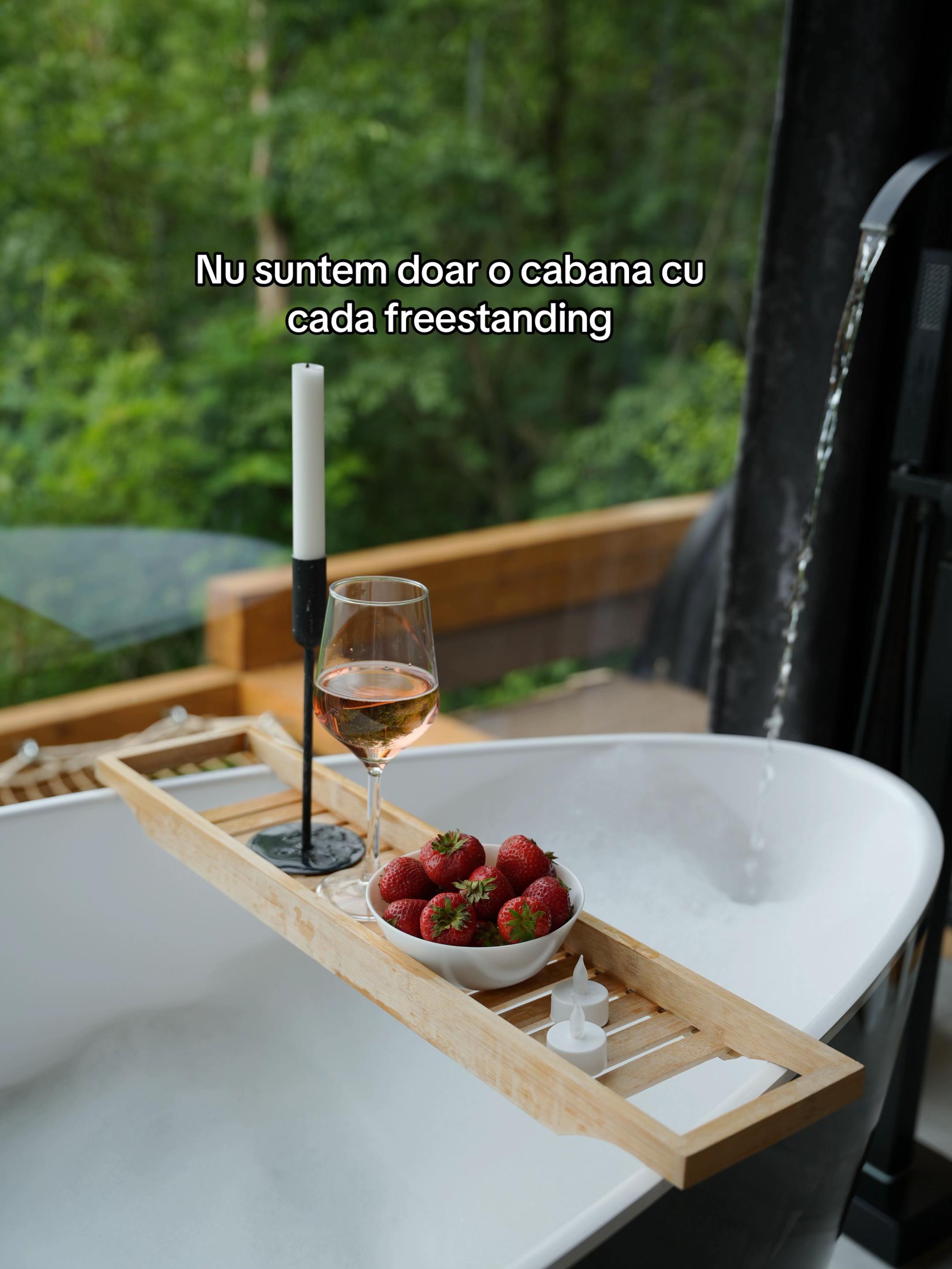@Forest View Valcea
