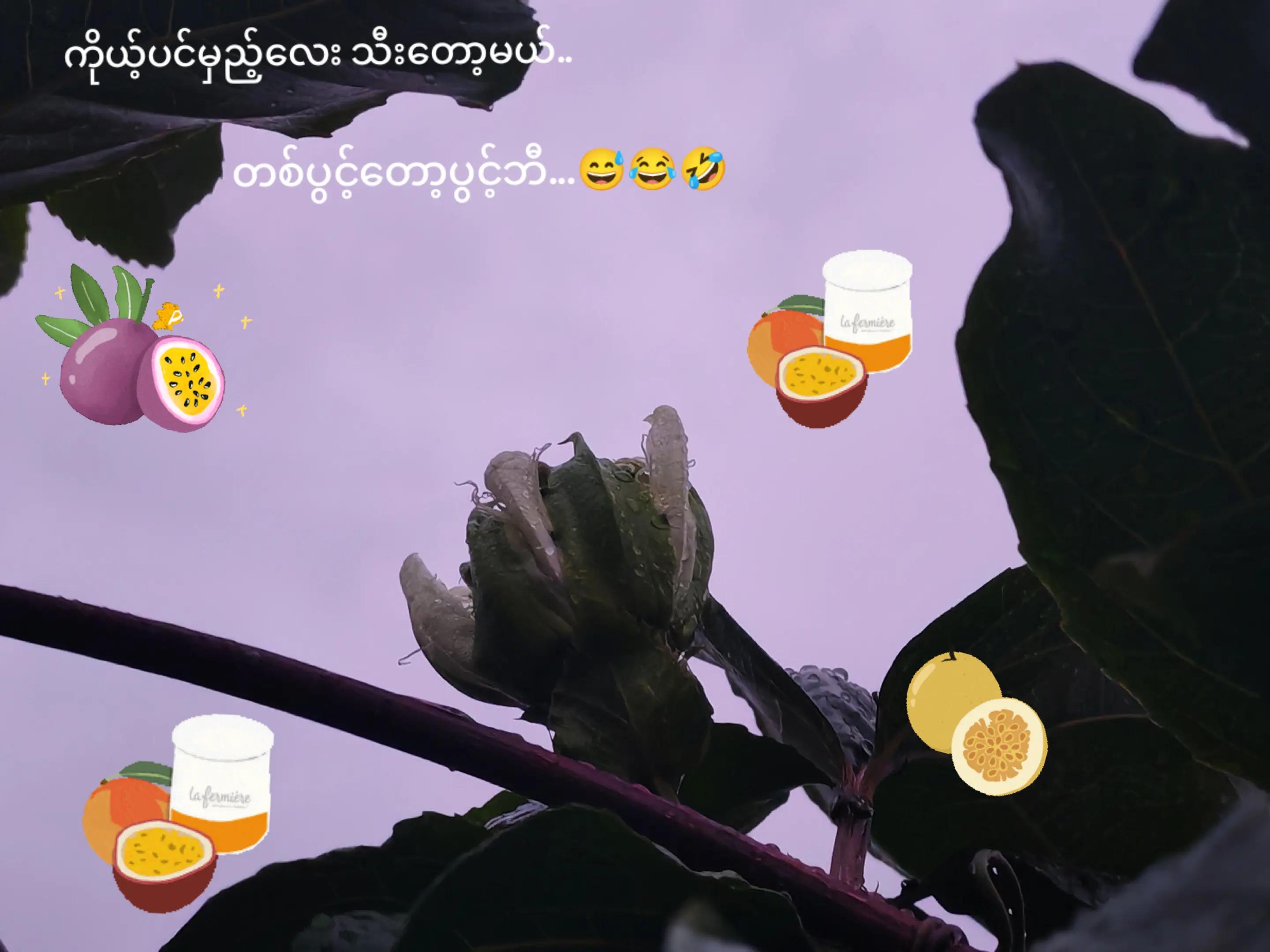 @Thida Htun