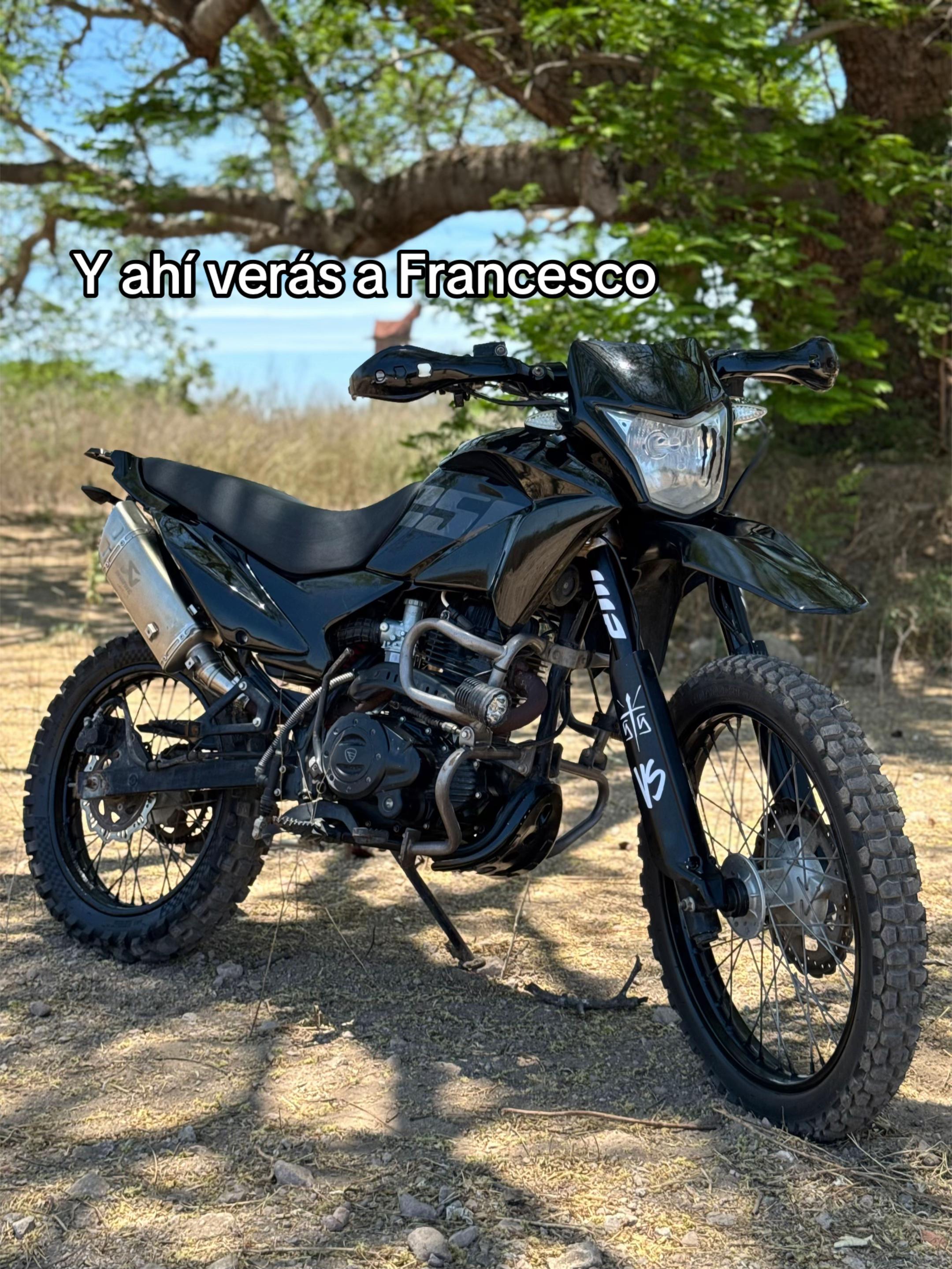 @Roy Biker