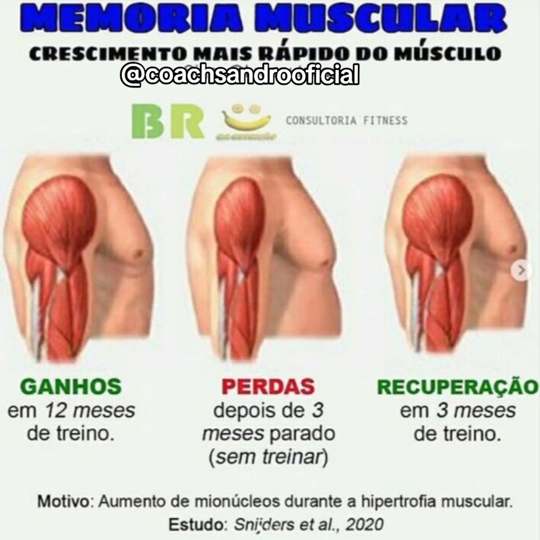 @SANDRO MORETTI CONSULTORIA