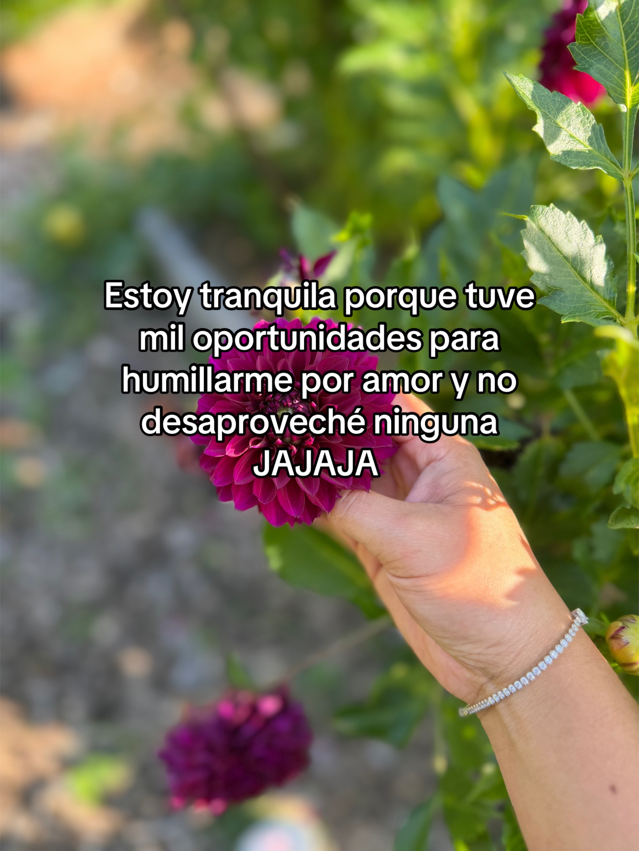 @Dani🍃🌷