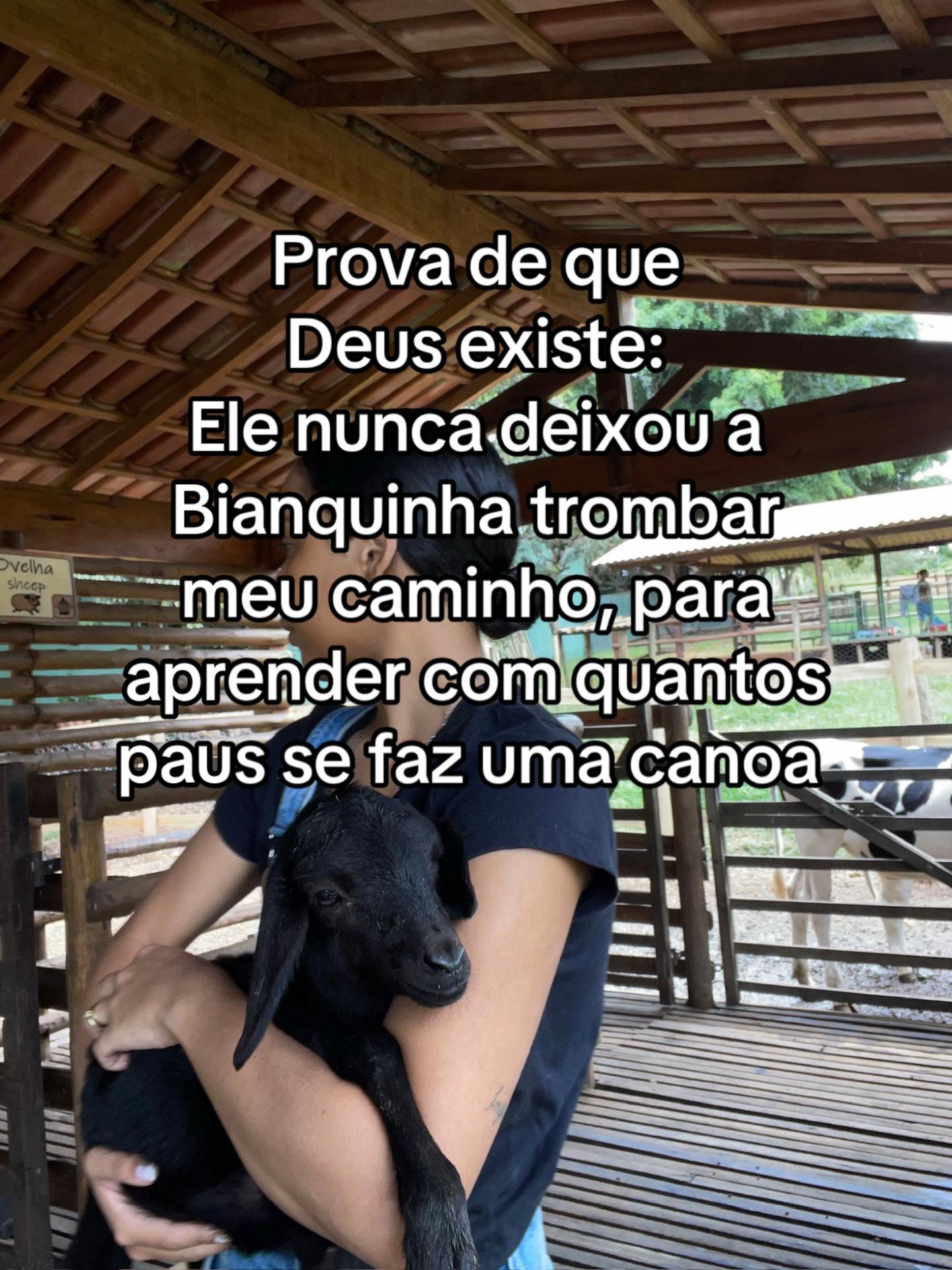 @raoxana_