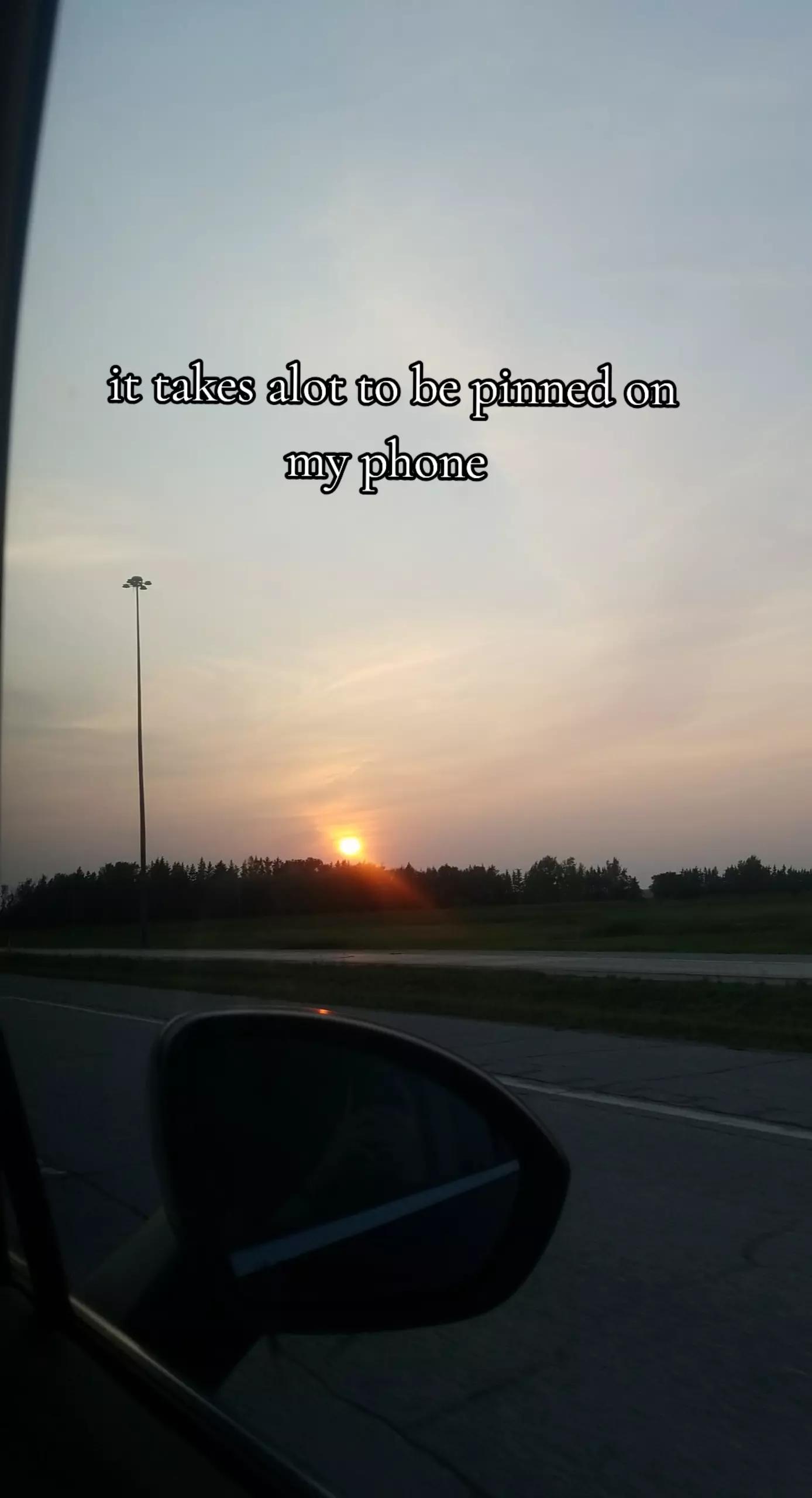 @🌺