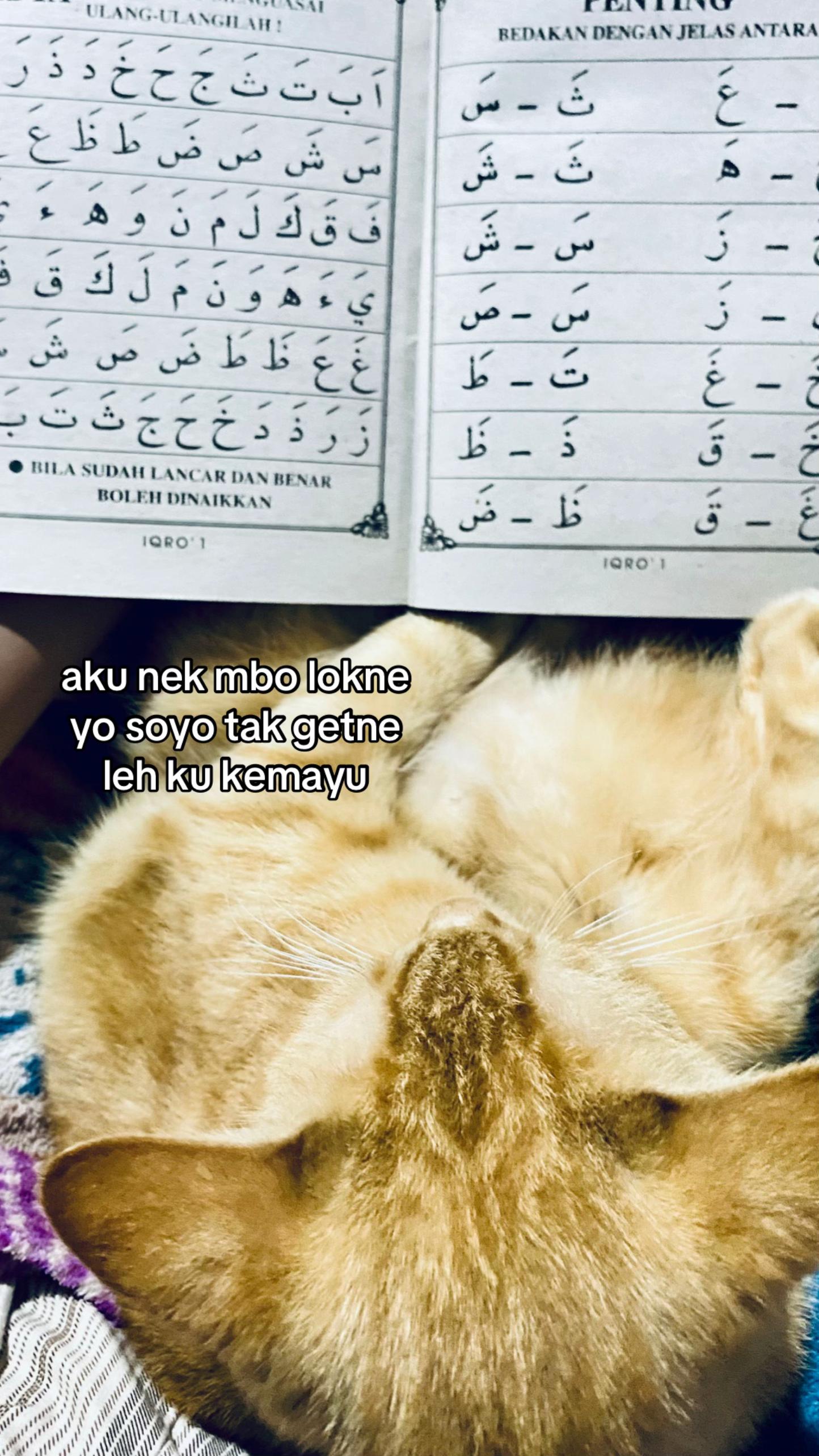@acïpăă