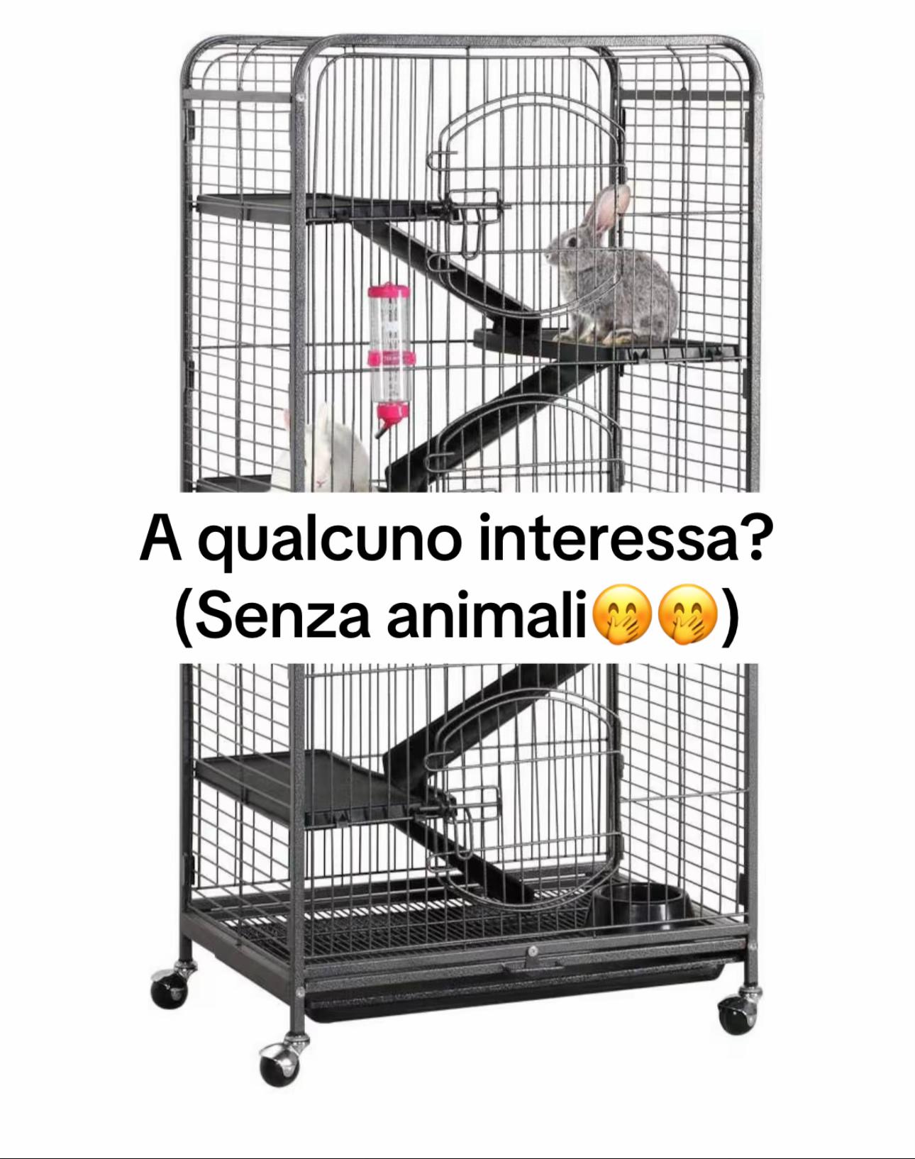 @Masha & C.