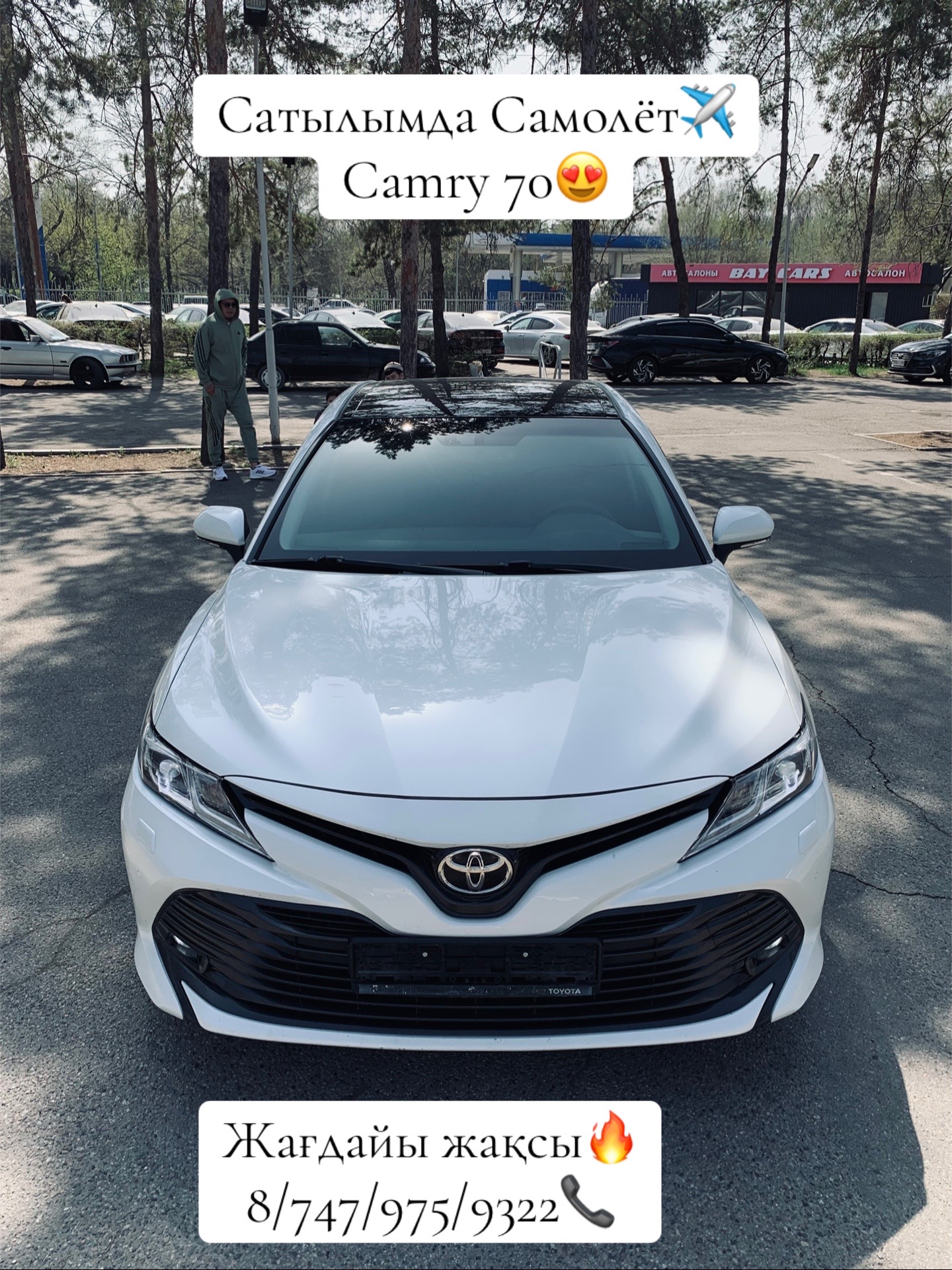 @bay_cars