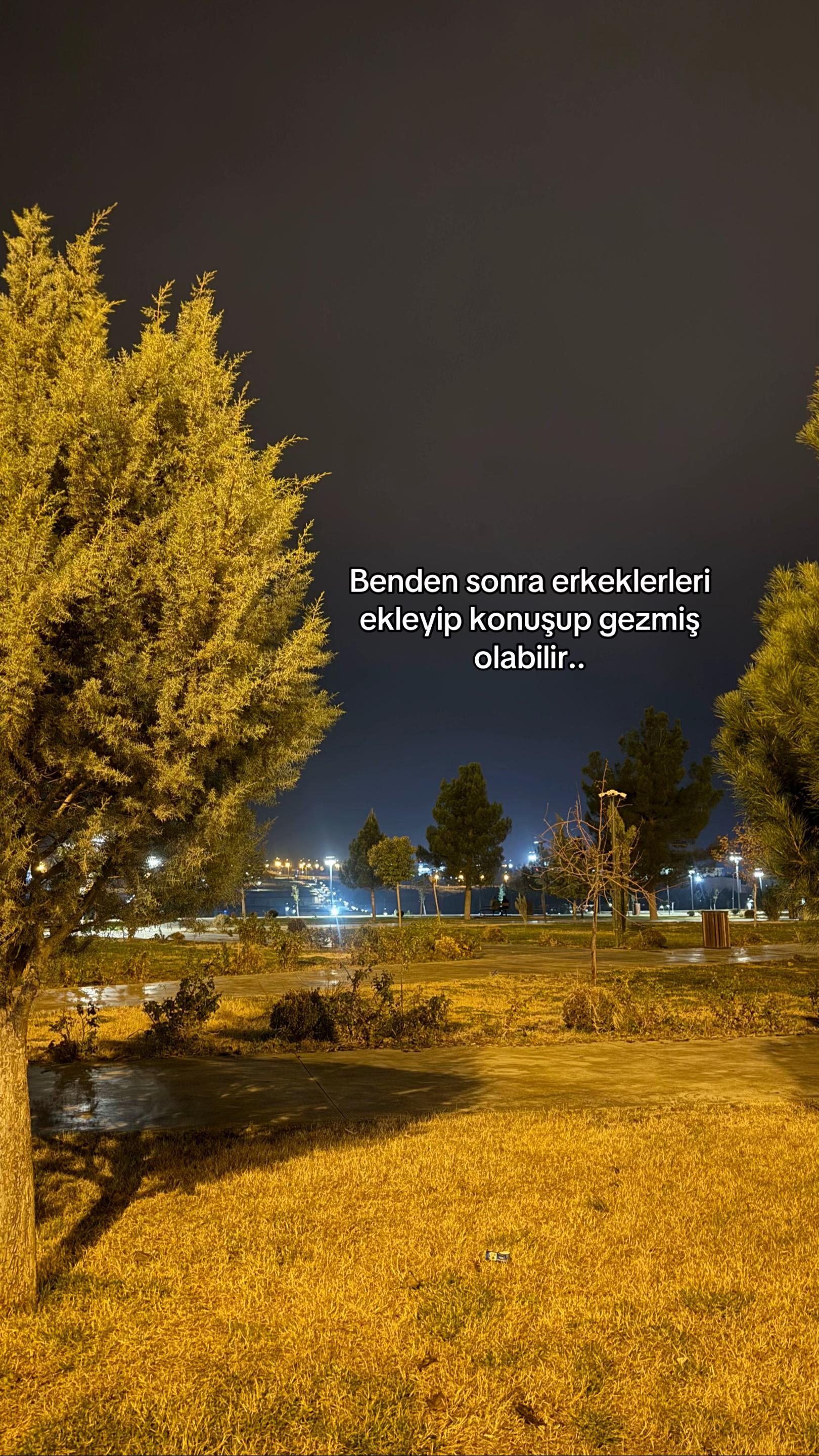 @Naşit Kaya