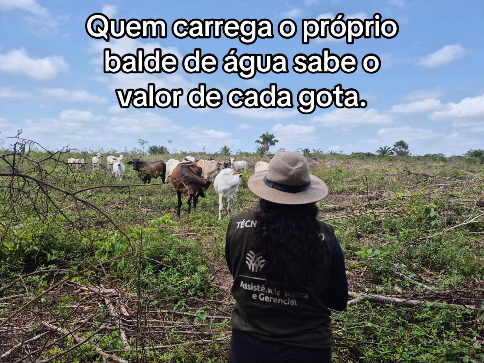 @Geane