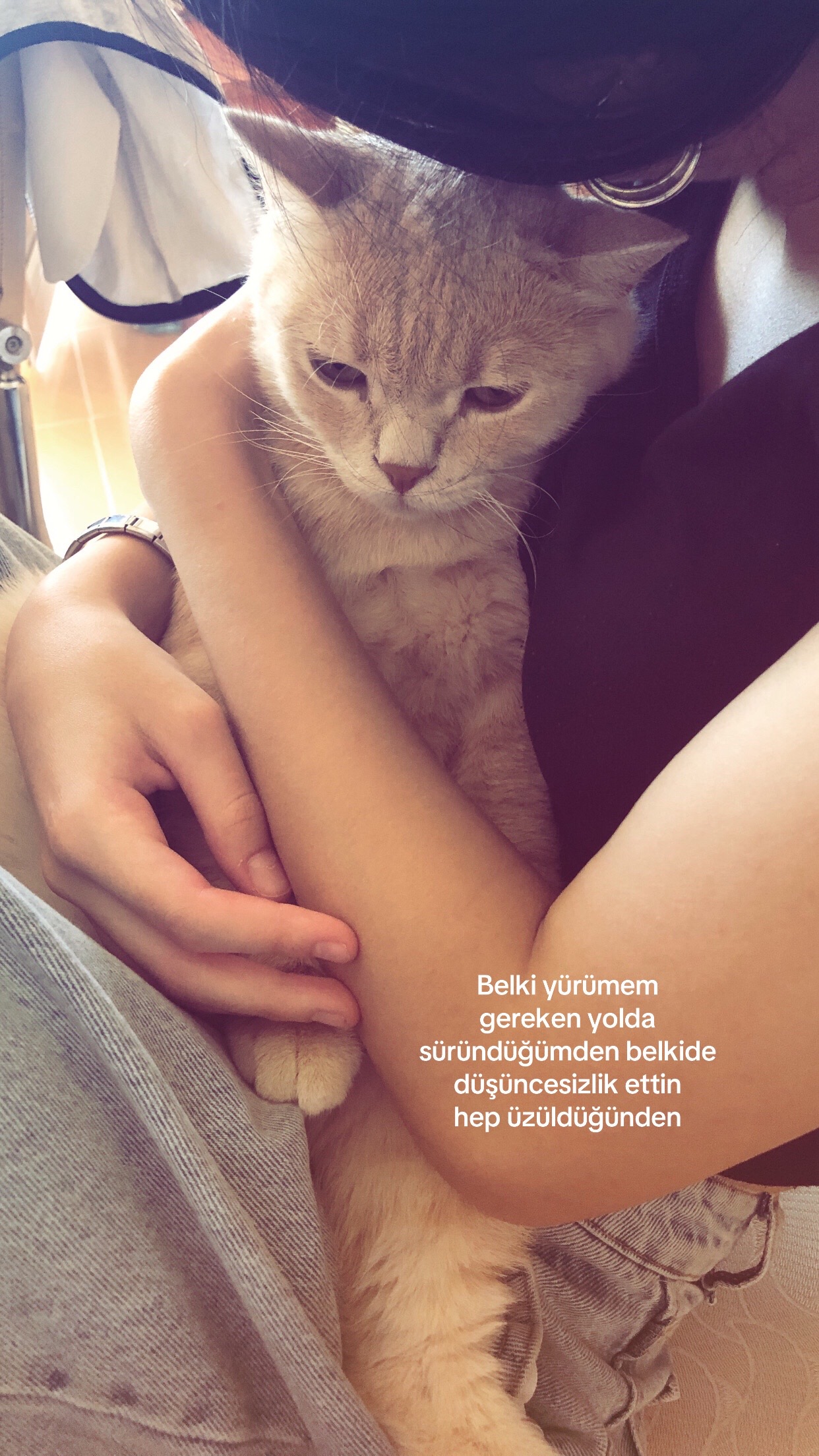 @Sena