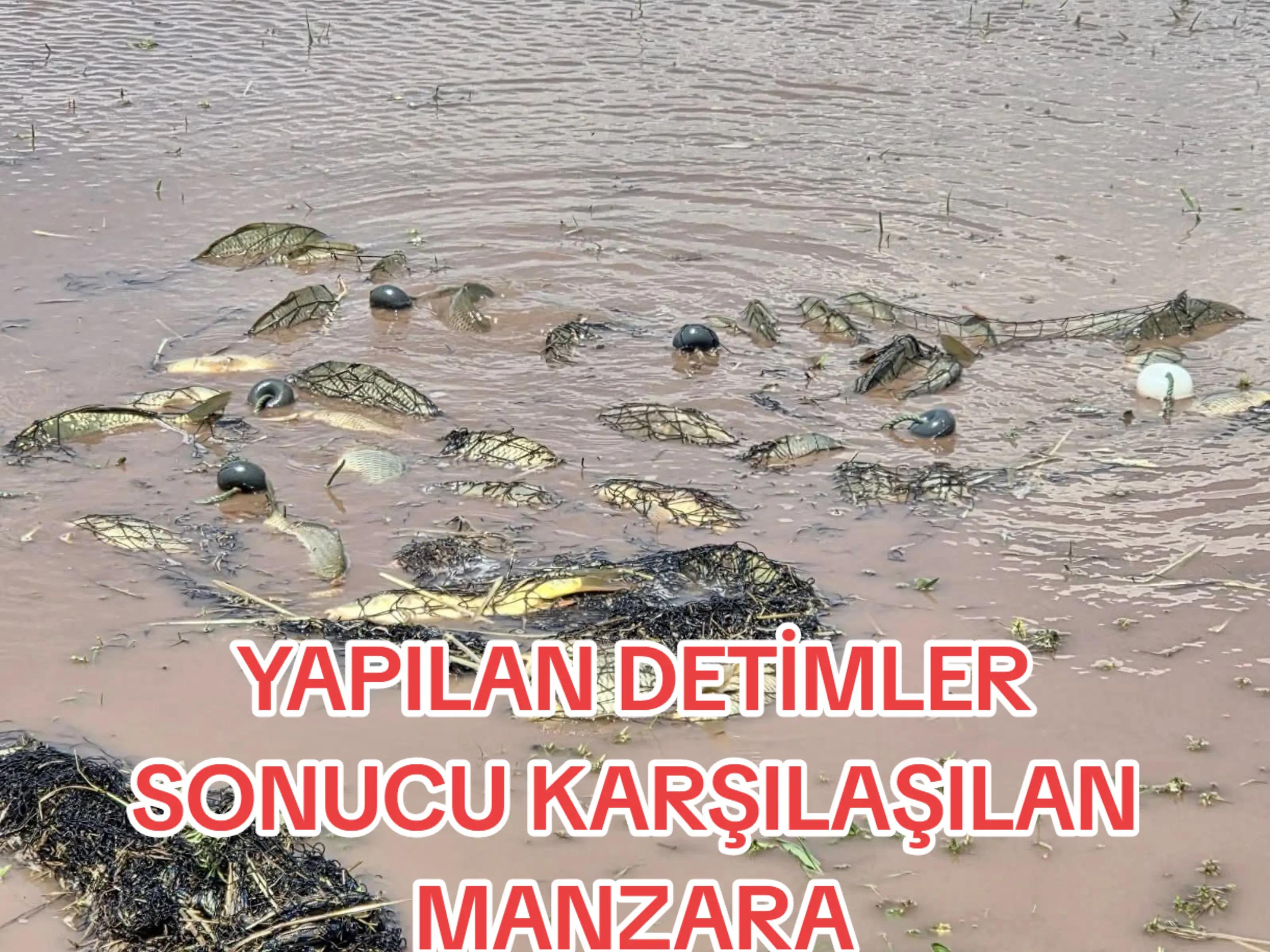 @Sportif Olta Balıkçıları