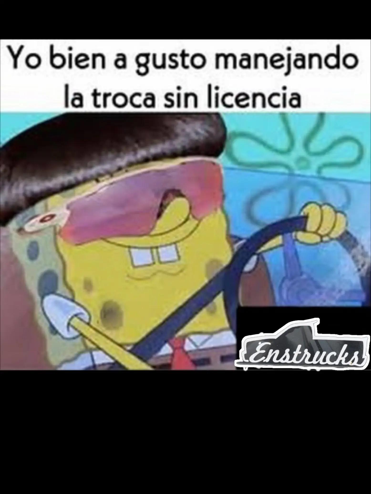 @EL Gallo Salcedo🇲🇽