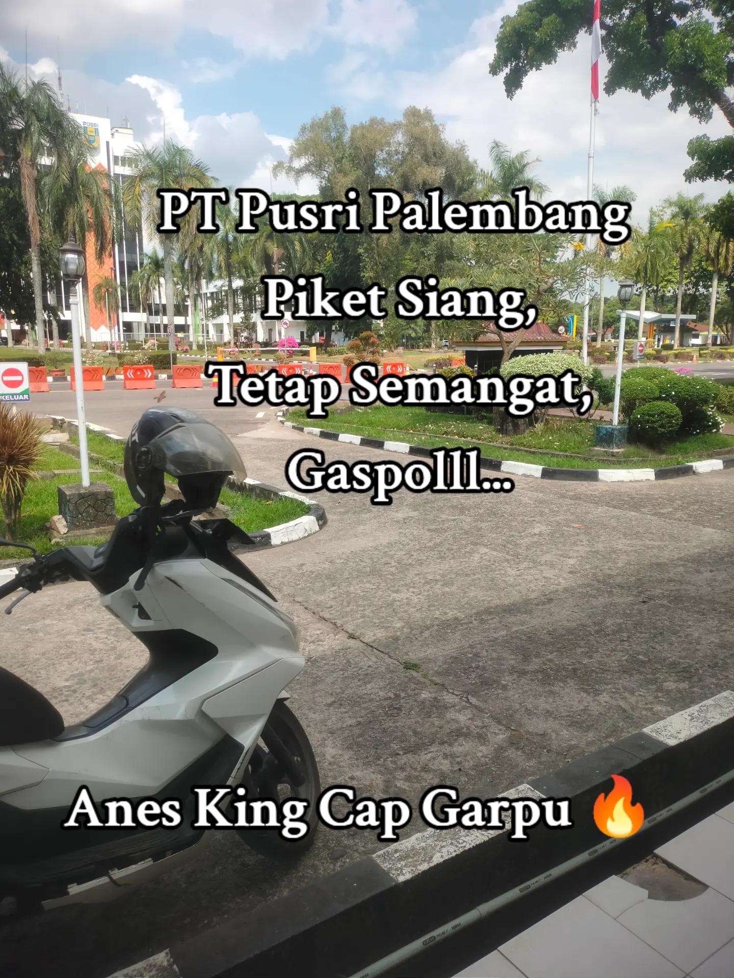 @Anes_King_cap_garpu