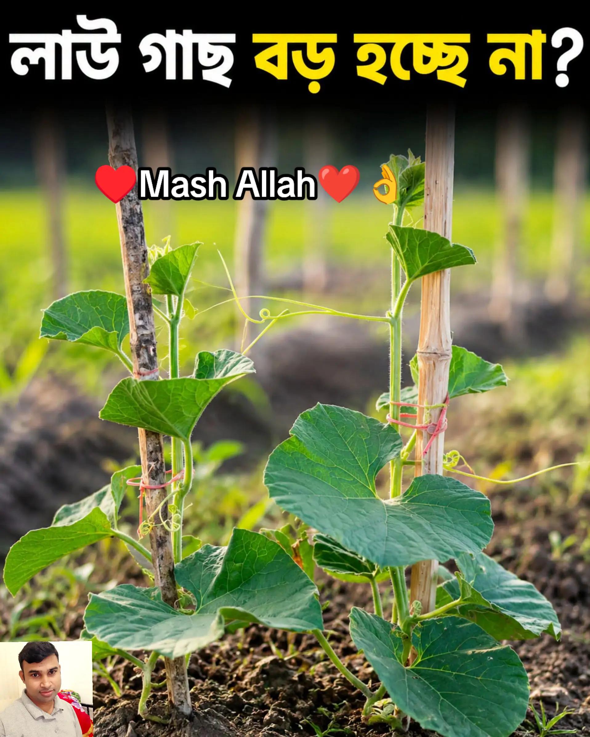 @đĩđ¸đ§đŠŲŲ
اŲ♥ī¸Kamal Ali â