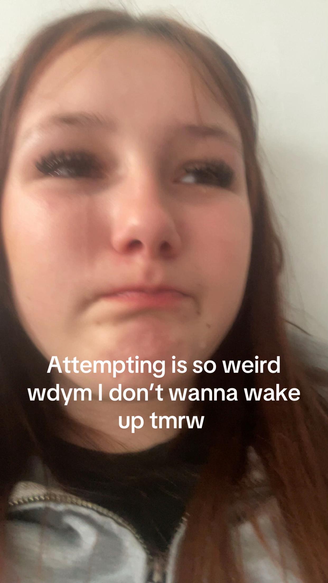 @laylabradle6145