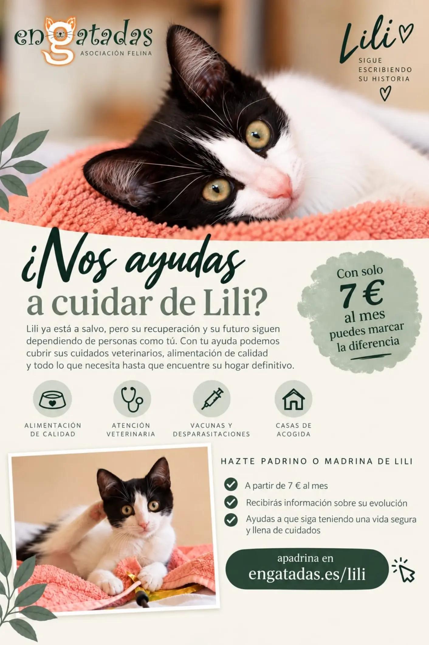 @enGatadas