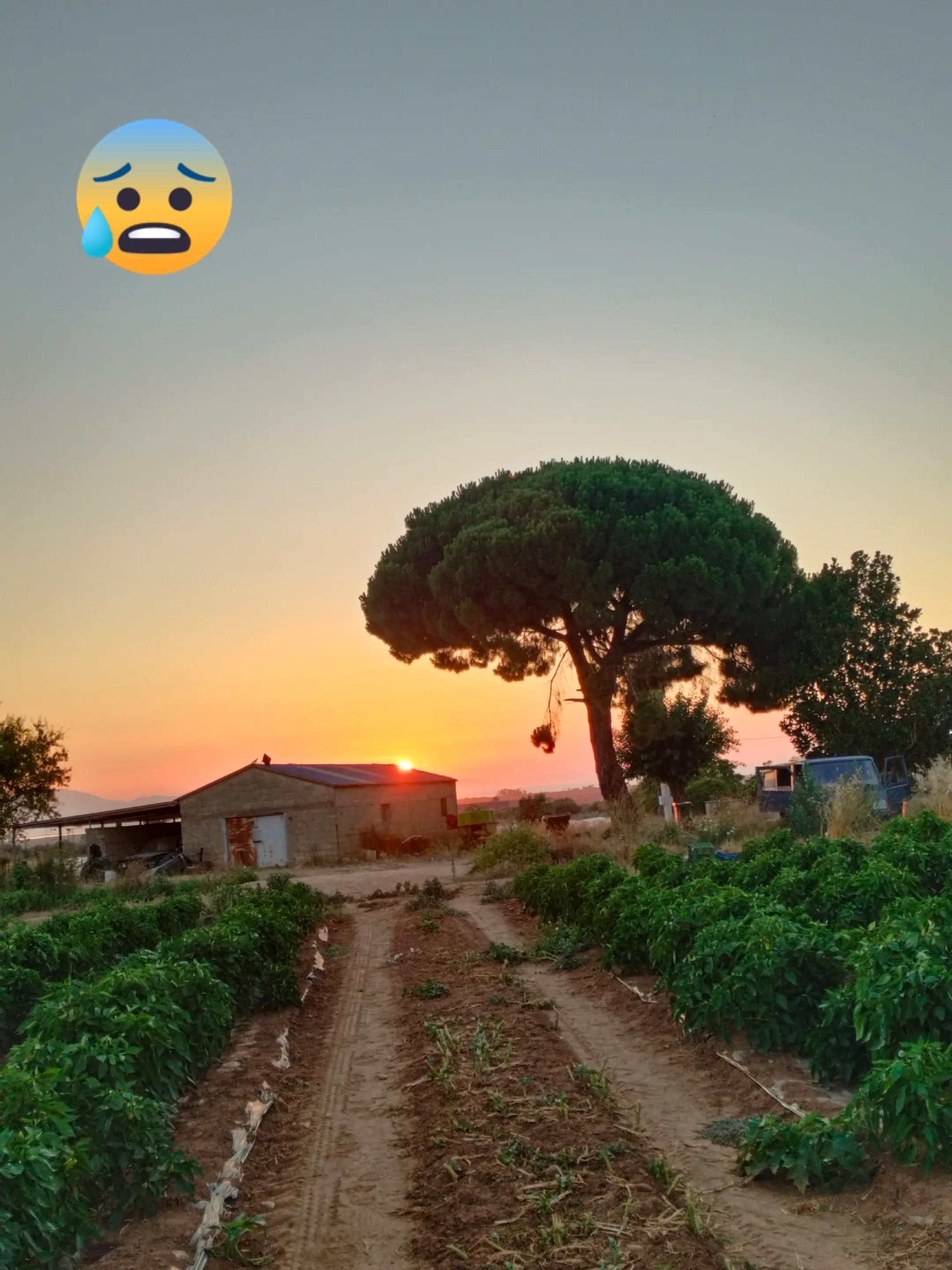 @योगेश गुरुङ्२🇳🇵♥️🇬🇷