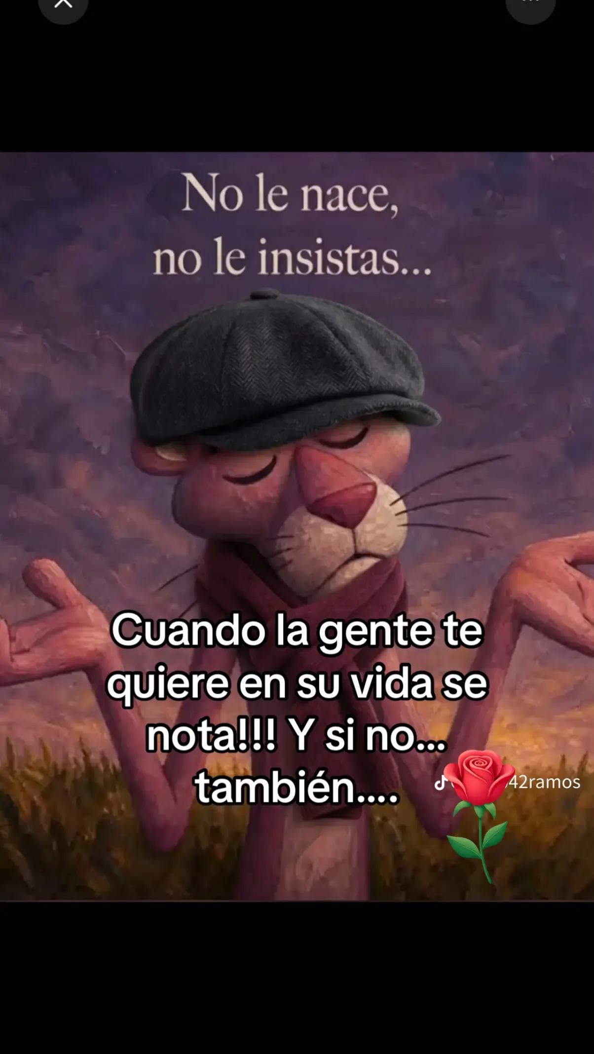 @rochy🌹🌹🌹