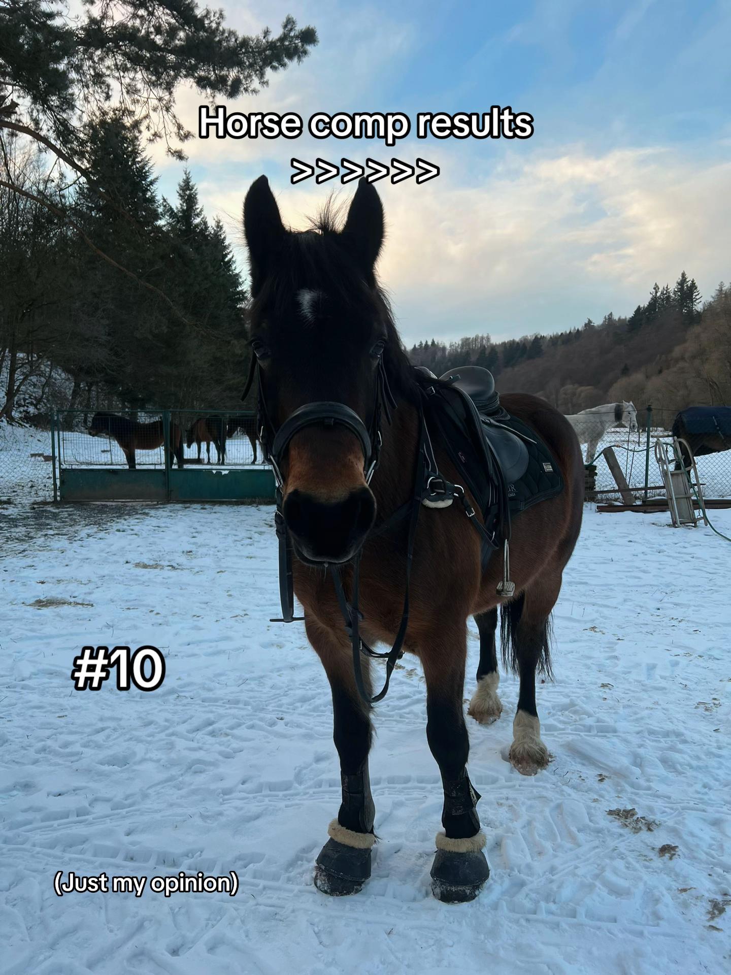 @equestrian._comps