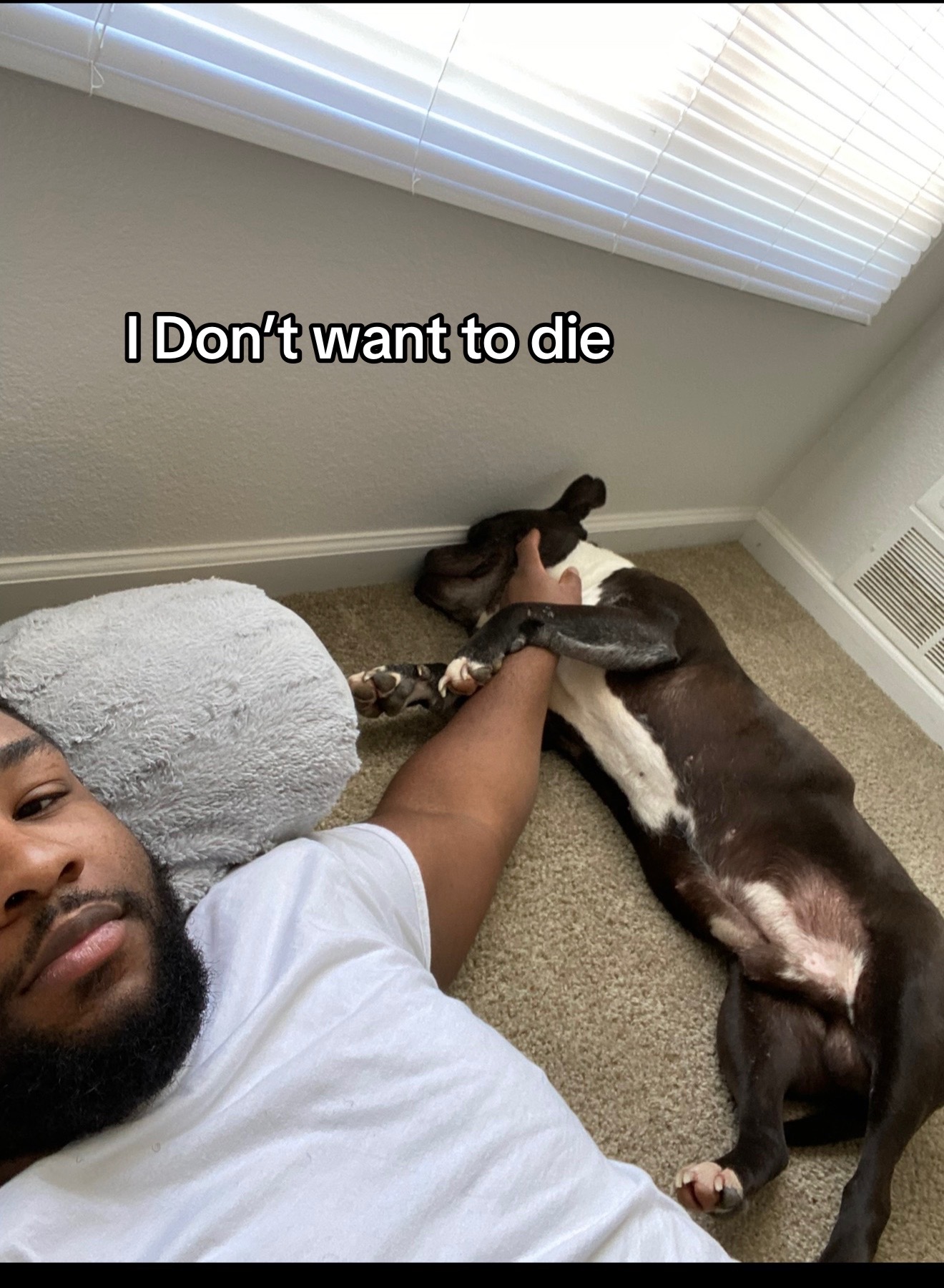 @Noble_jus