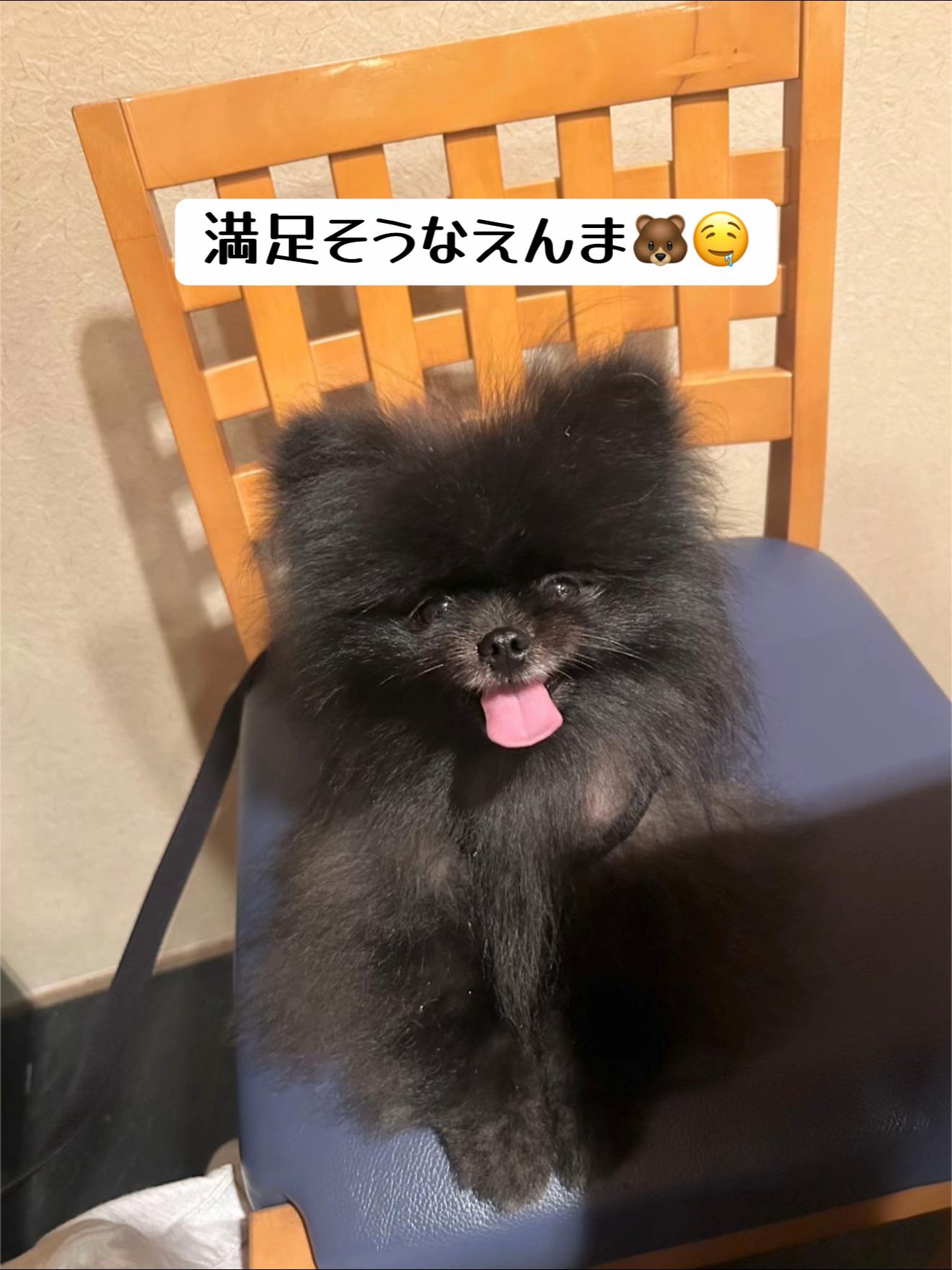 @黒ポメのえんま🐻🍿