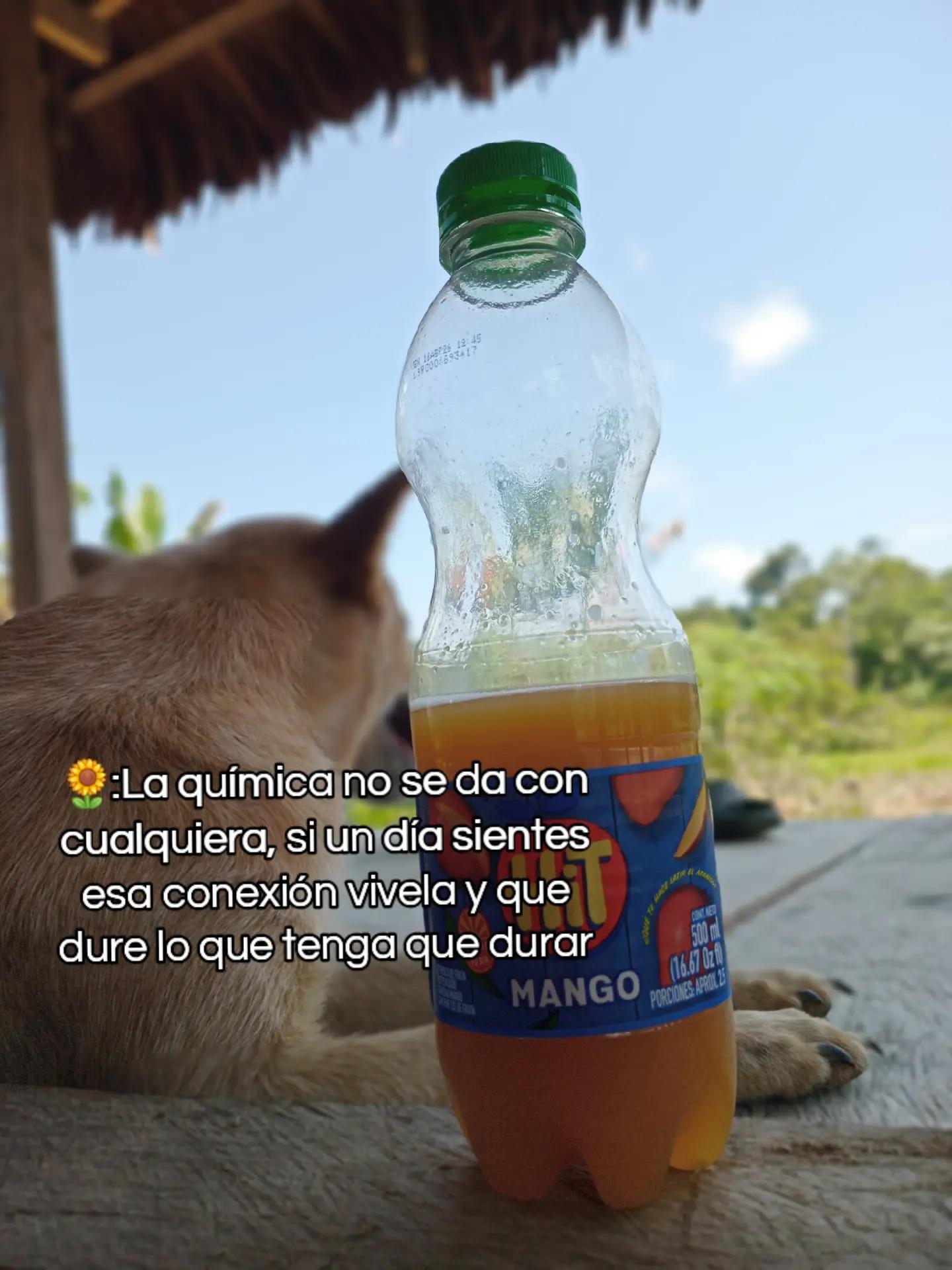 @yanehich