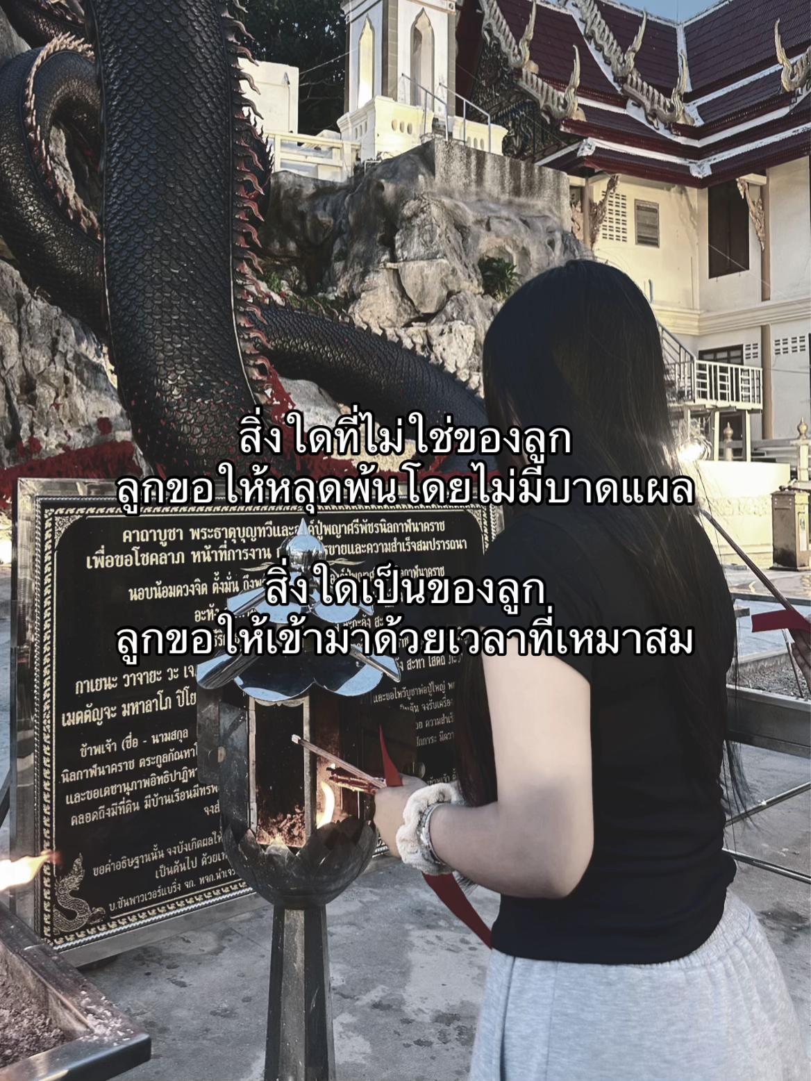 @ไรเฟิลเฟิร์น.