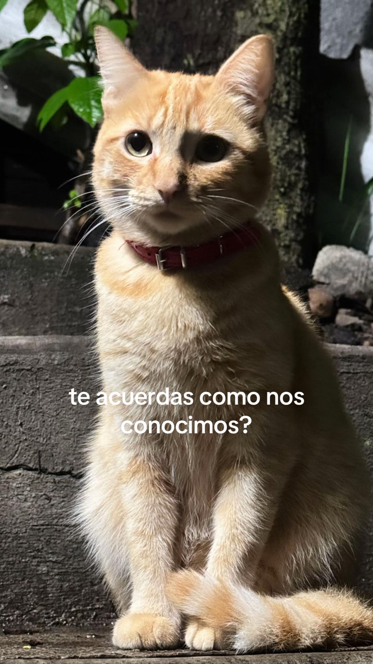 @Daniela Guzmán💞