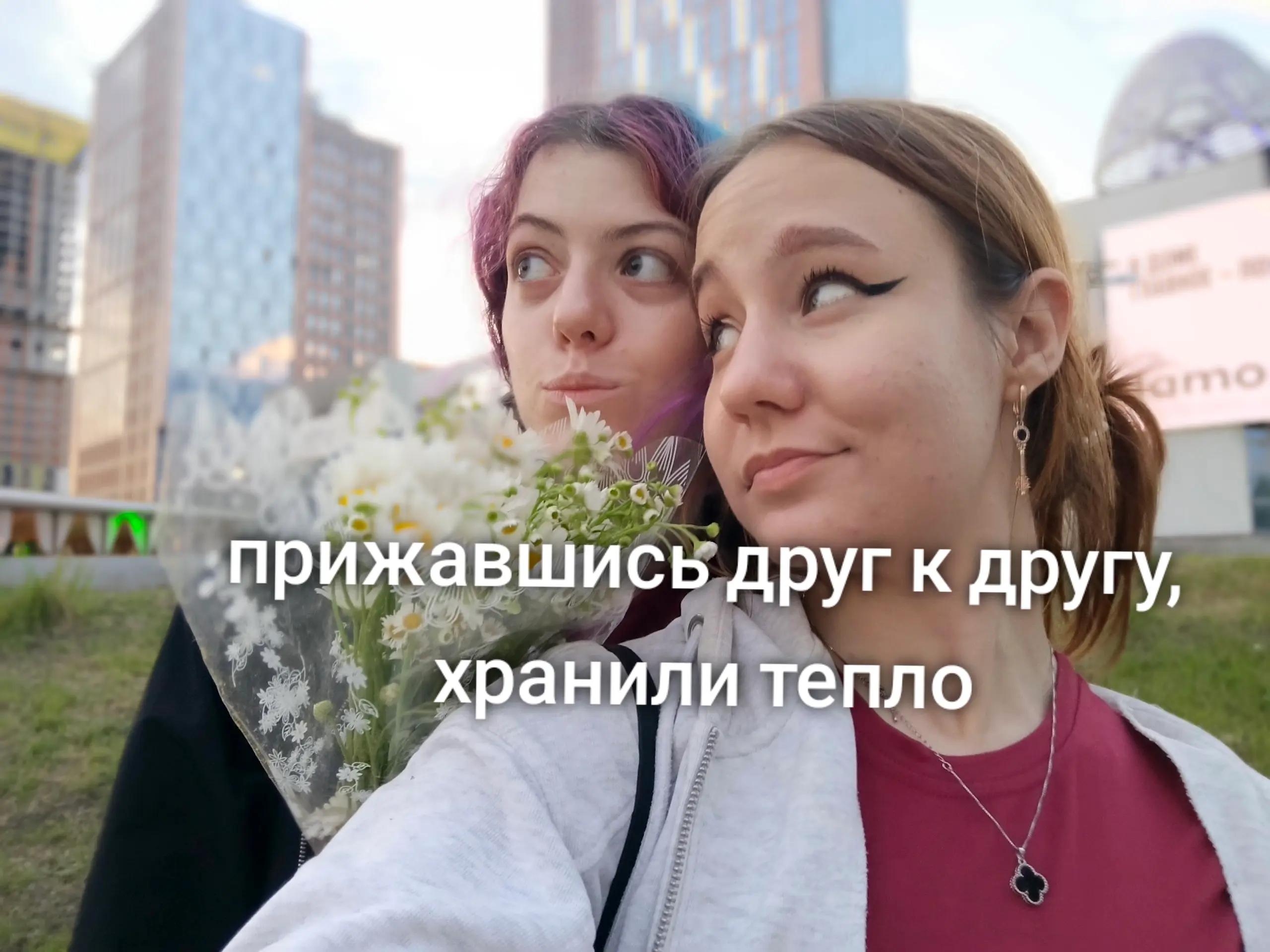 @ʕ·ᴥ· ʔ