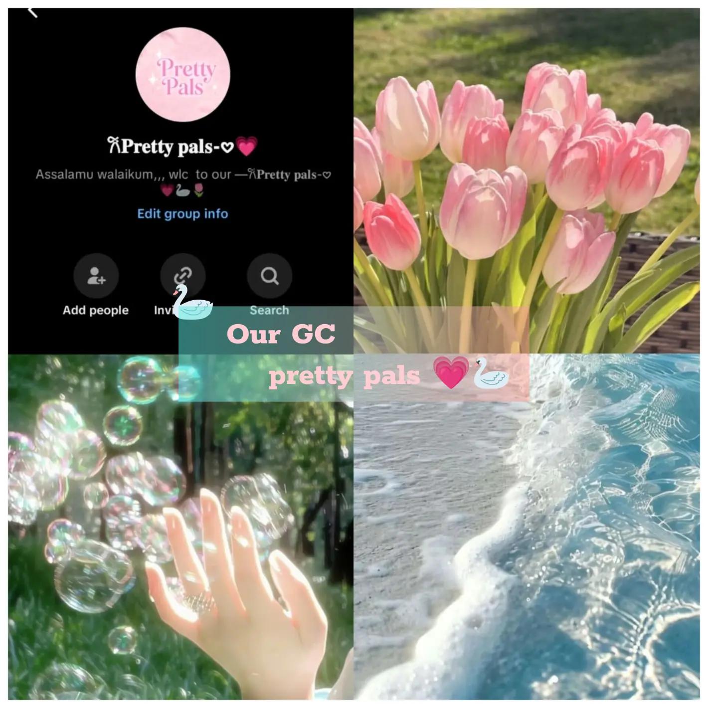 @—๐๐๐ซ๐๐ญ๐ญ๐ฒ ๐ฉ๐๐ฅ๐ฌ-๐นญ๐