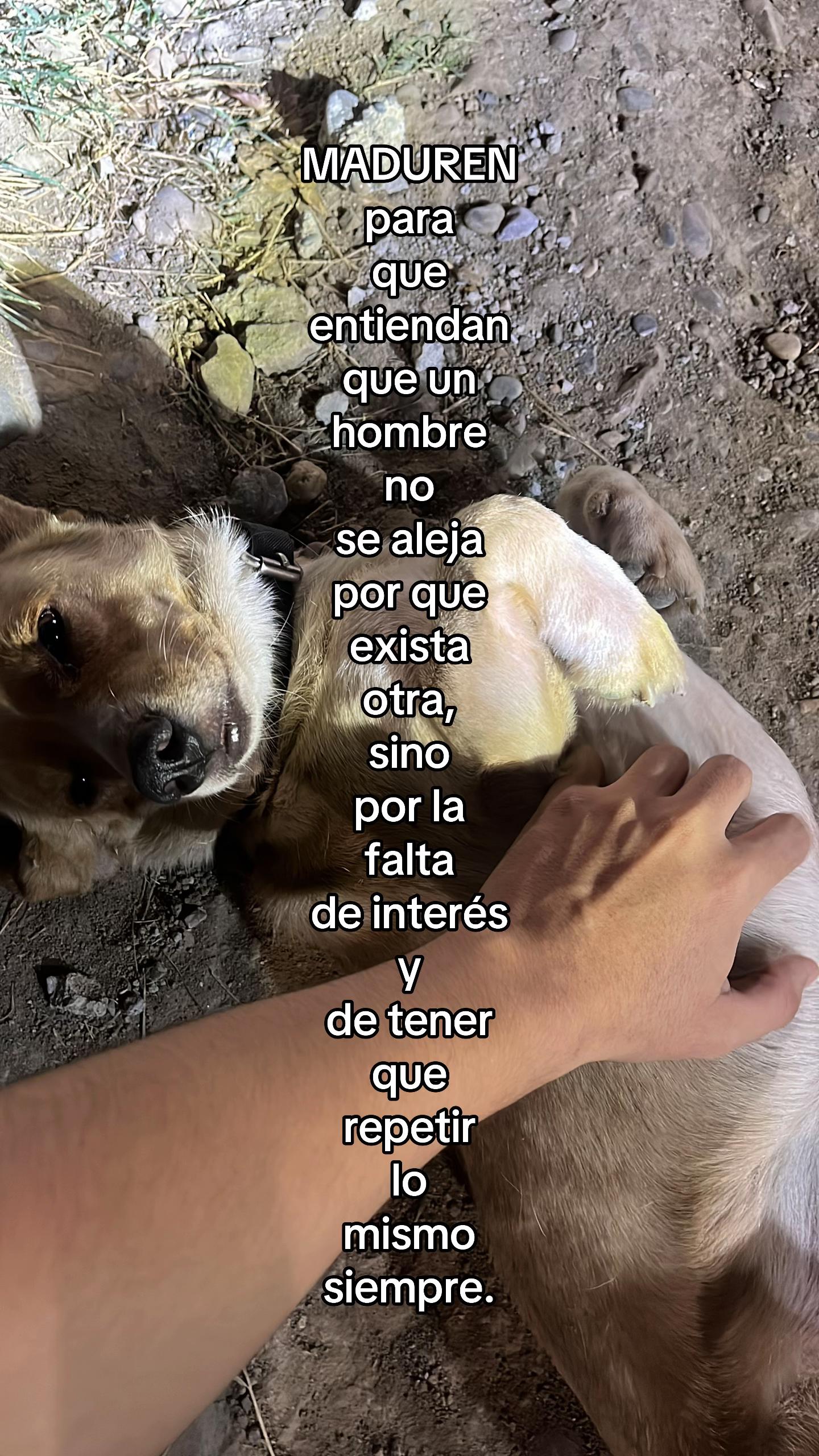 @dxviddd
